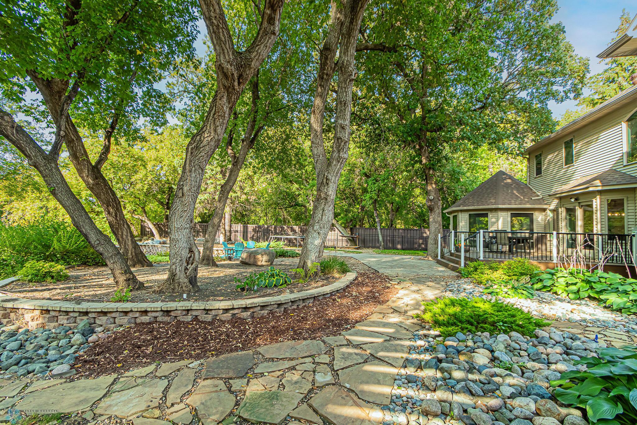 Backyard_7