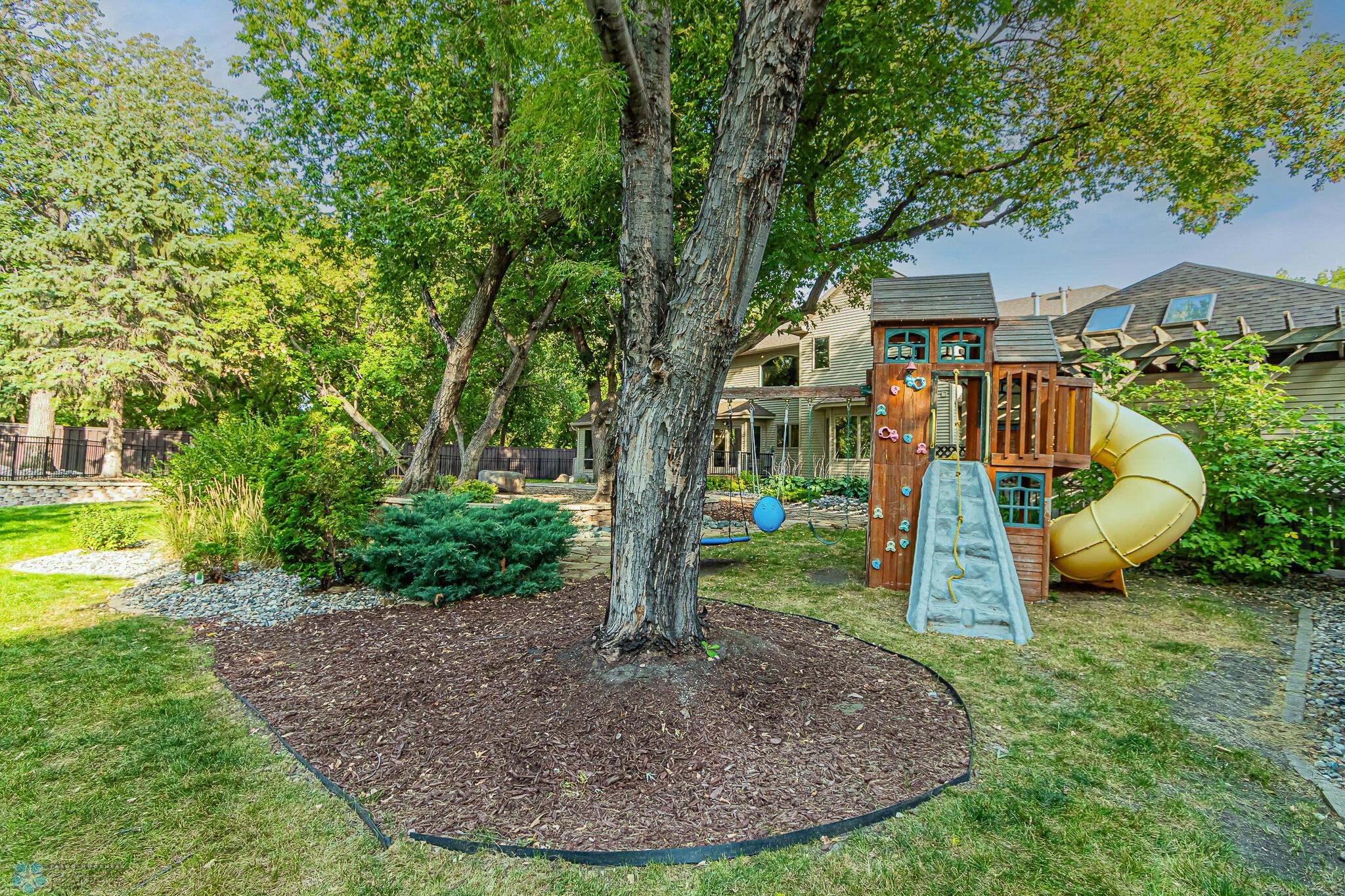 Backyard_9
