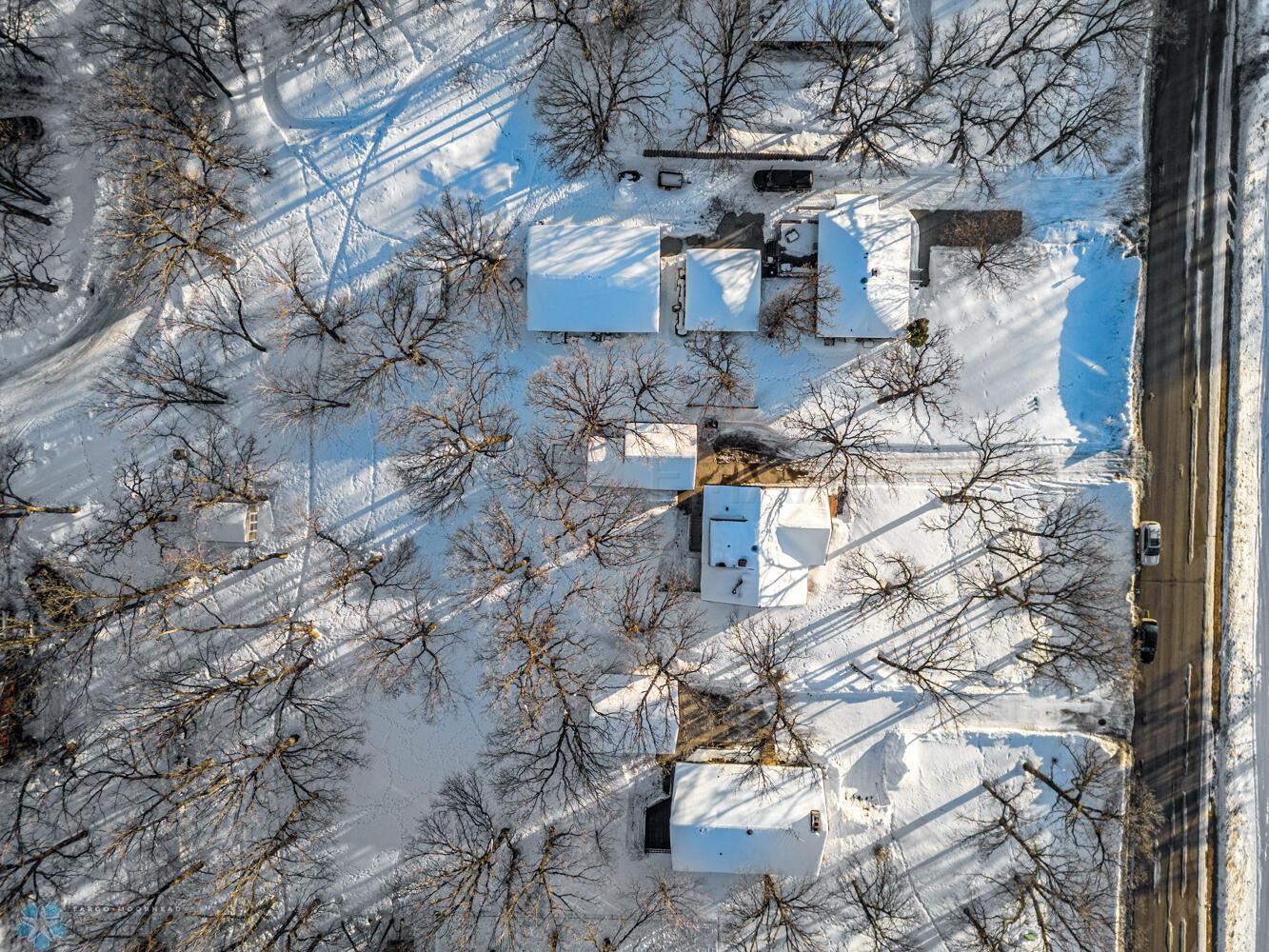 Birds eye