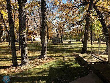 Fall Yard/Shed