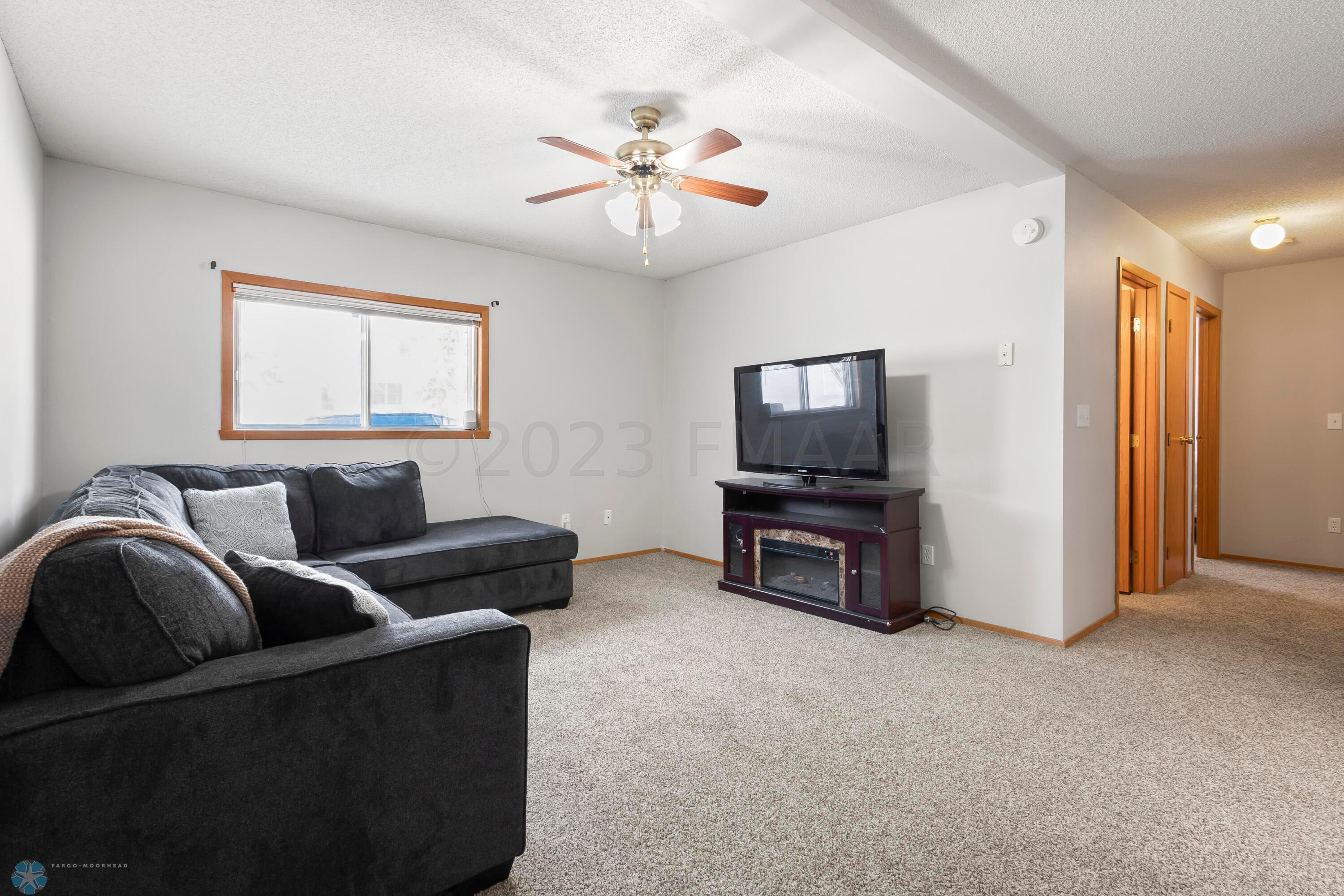 Lower level family room