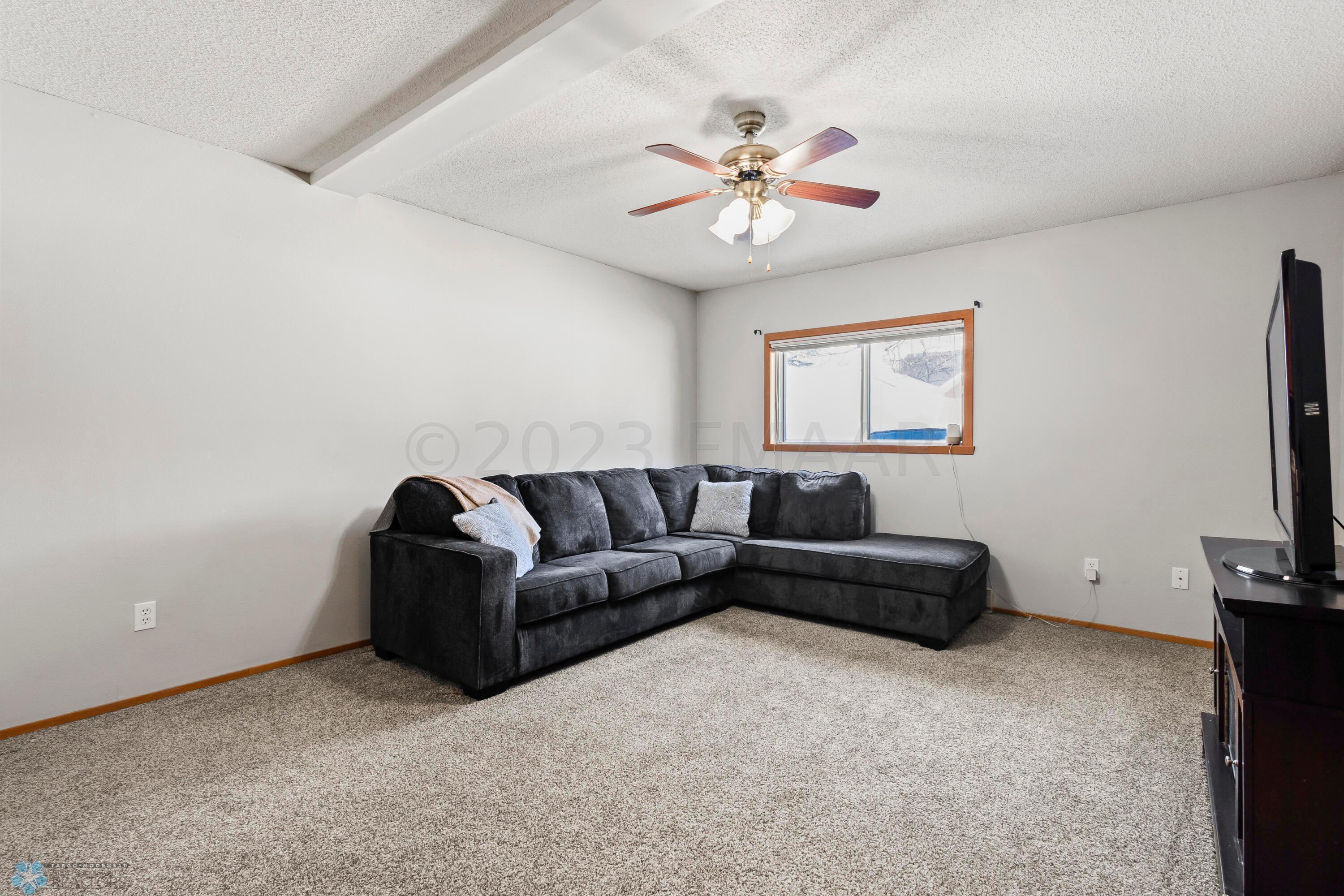 Lower level Family room
