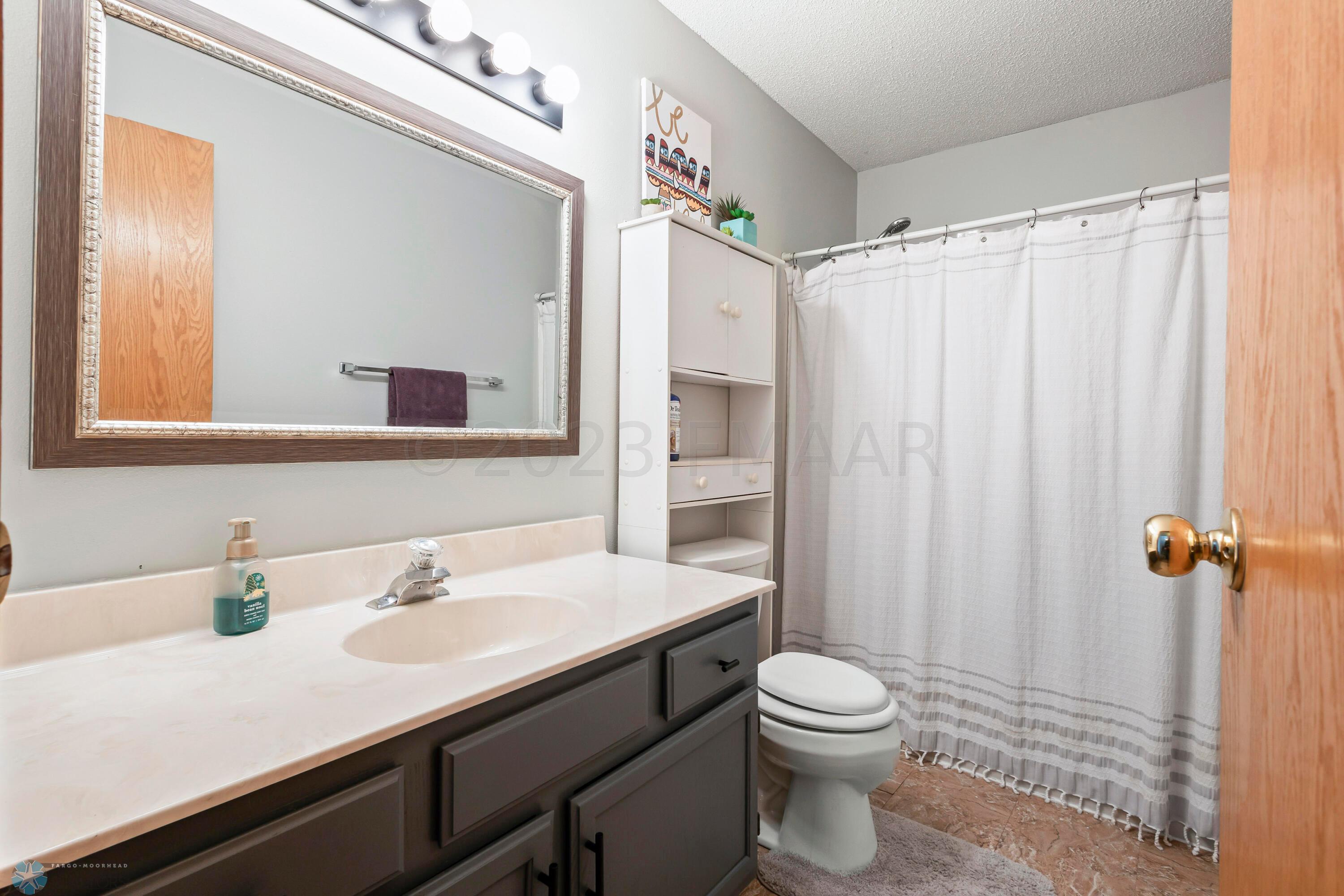Lower level bathroom