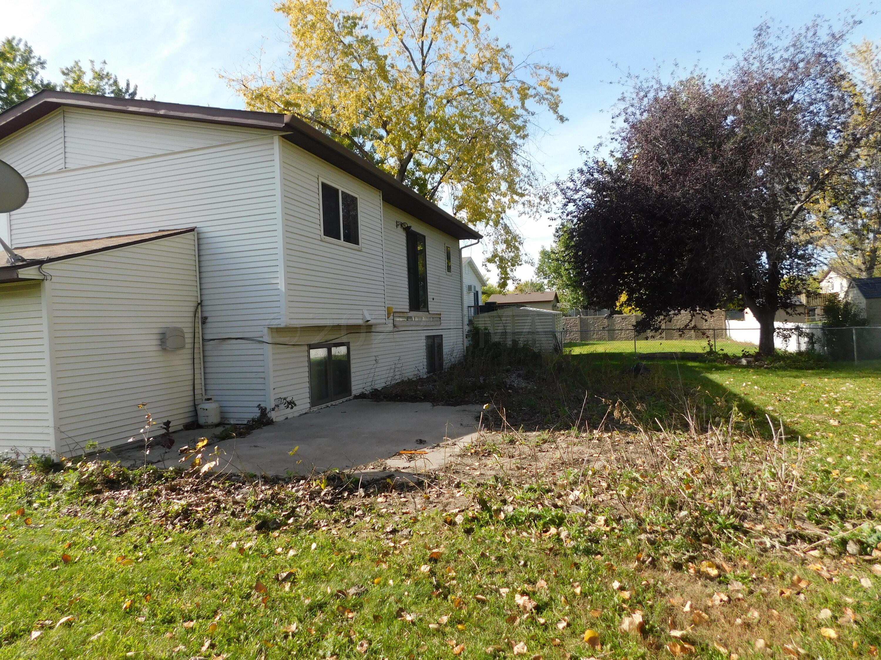 back yard