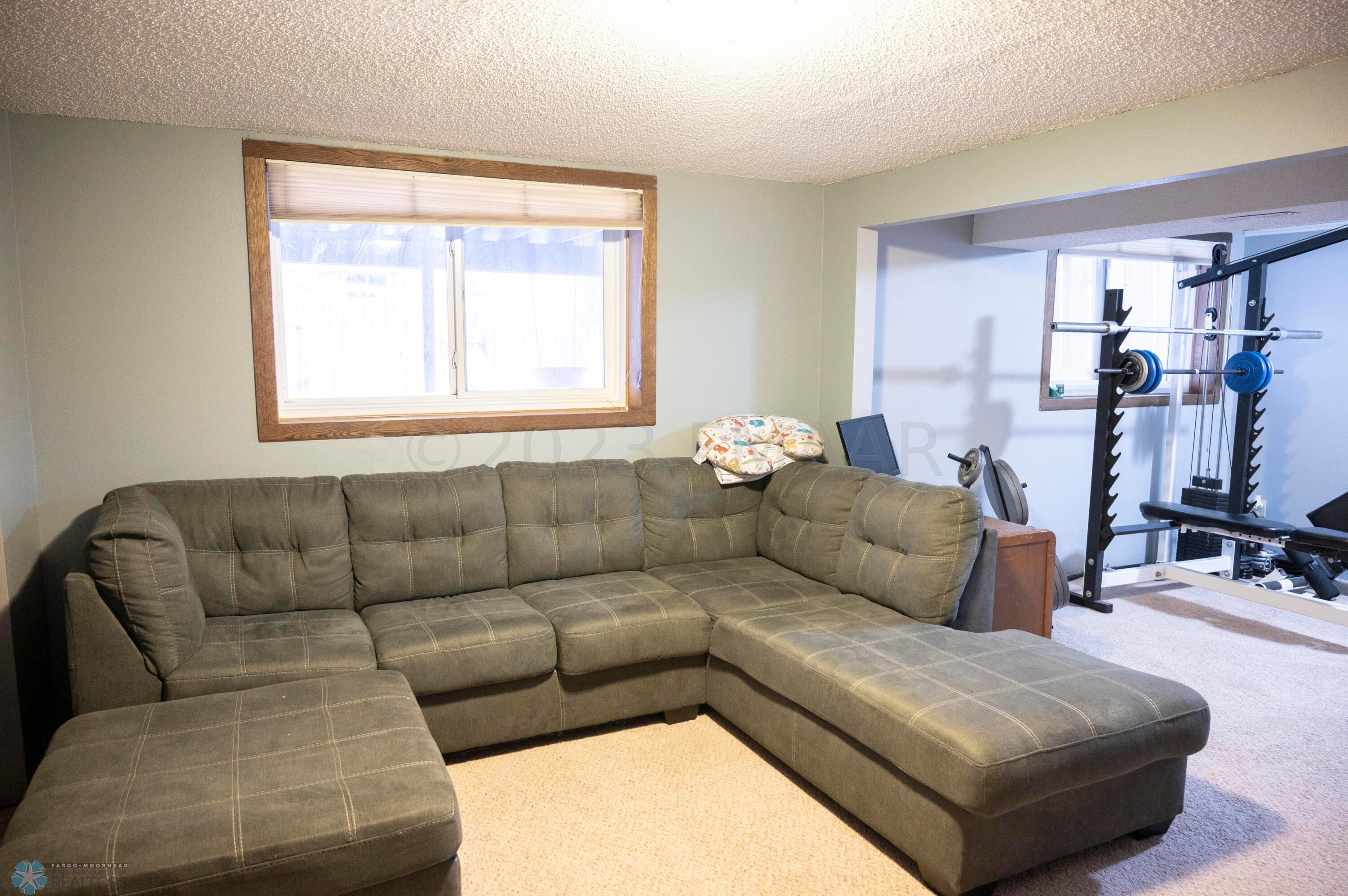 Basement living room