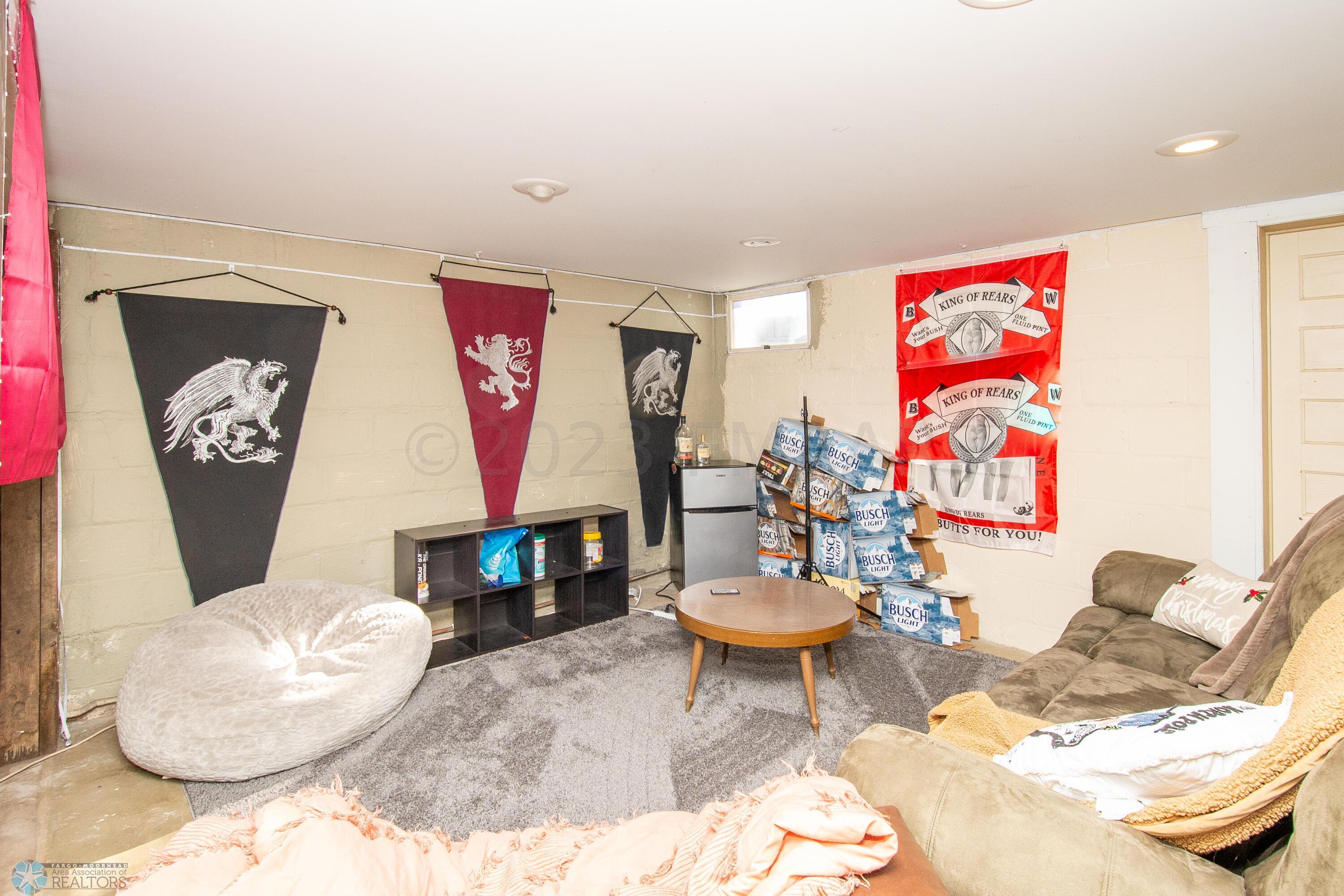 Basement Family Room
