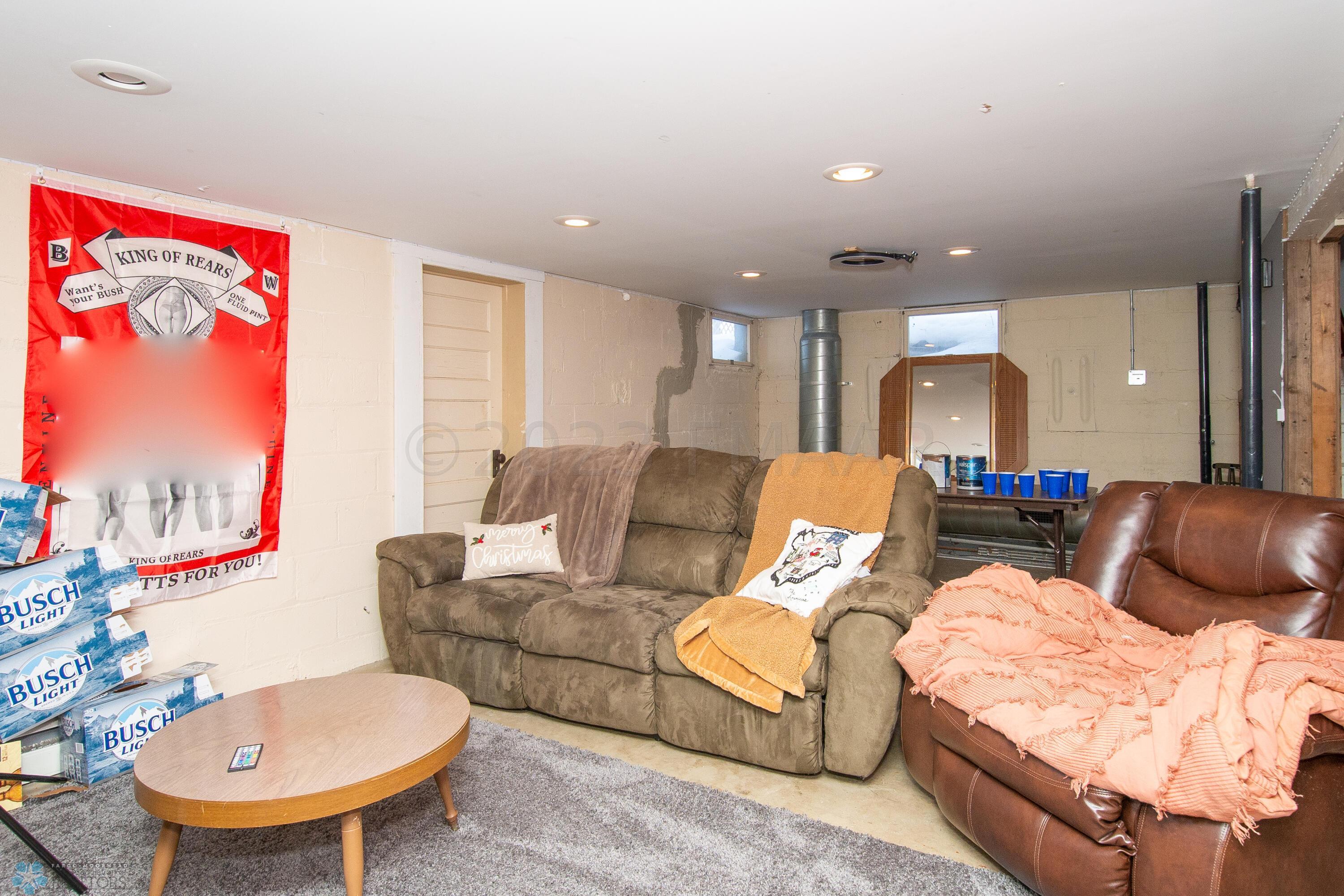 Basement Family Room