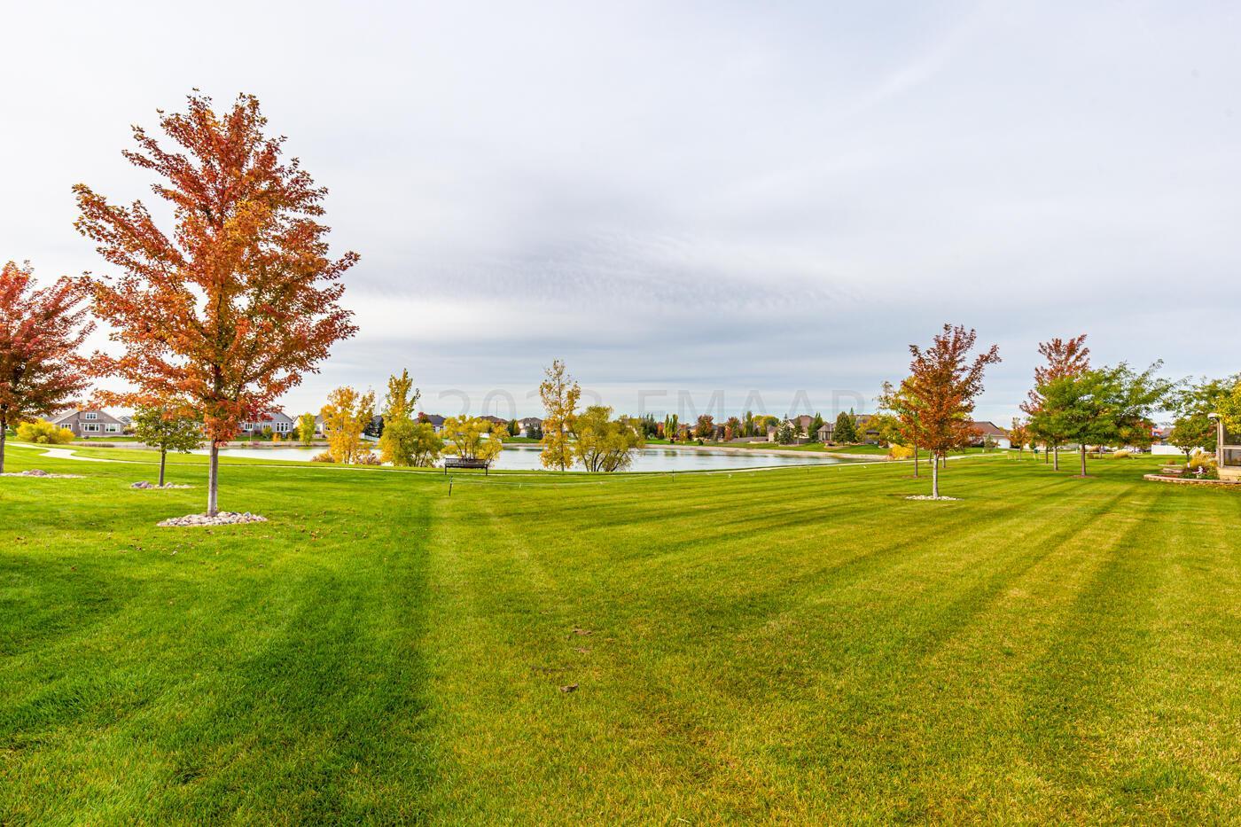Pond View