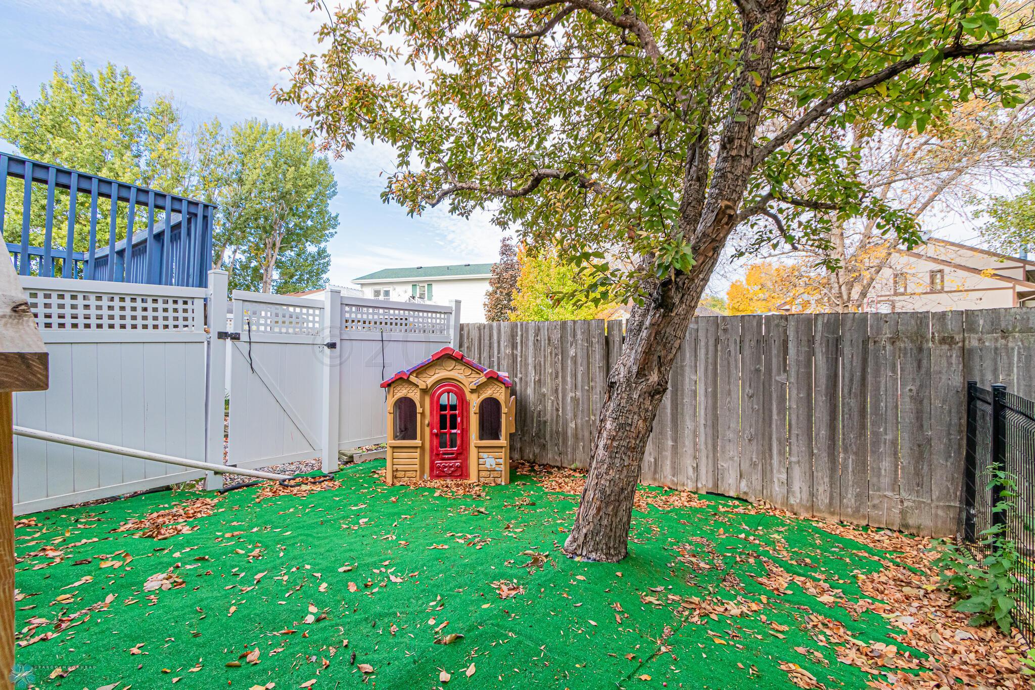 Backyard_1