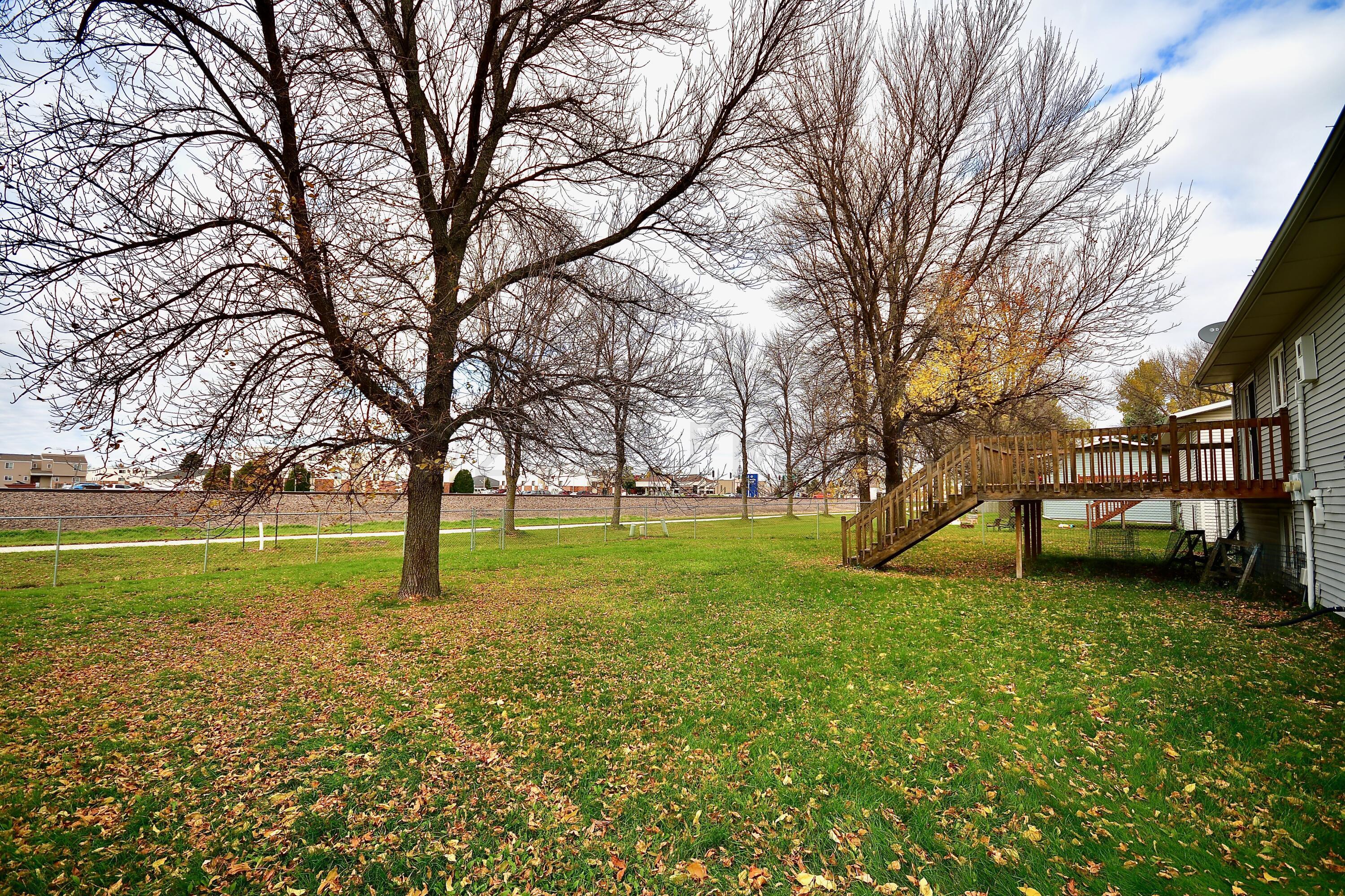 Back yard
