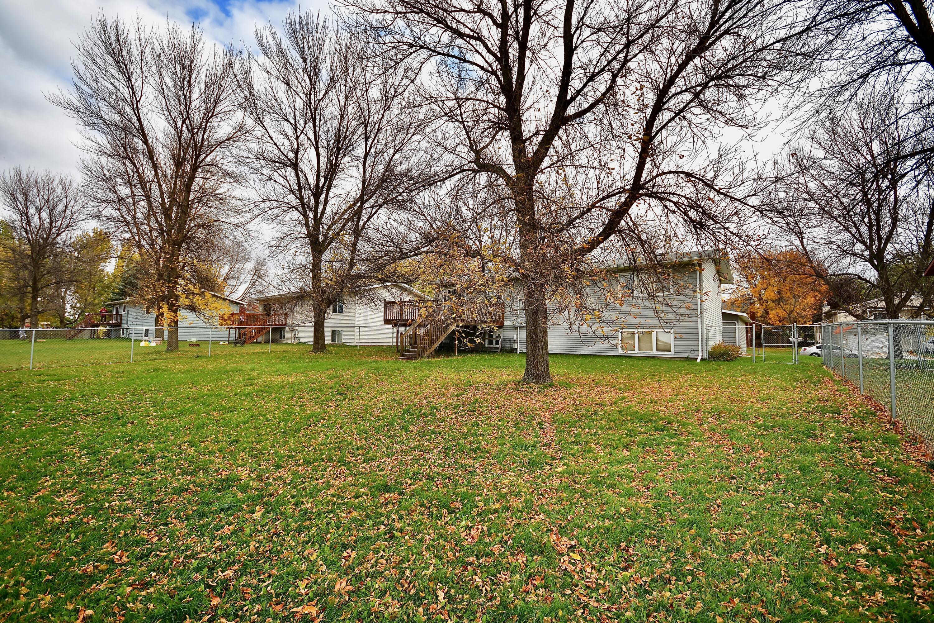Back yard