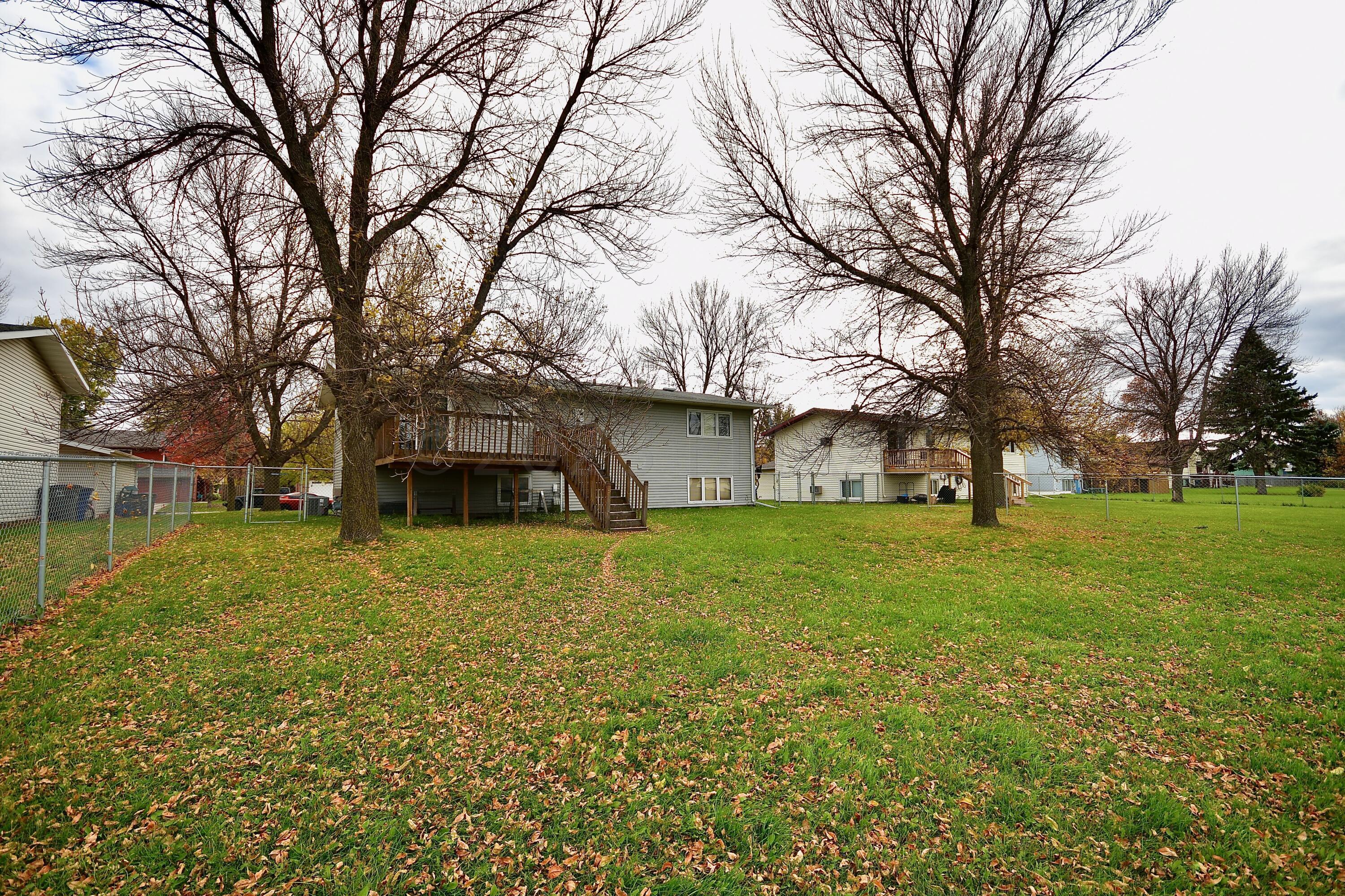 Back yard