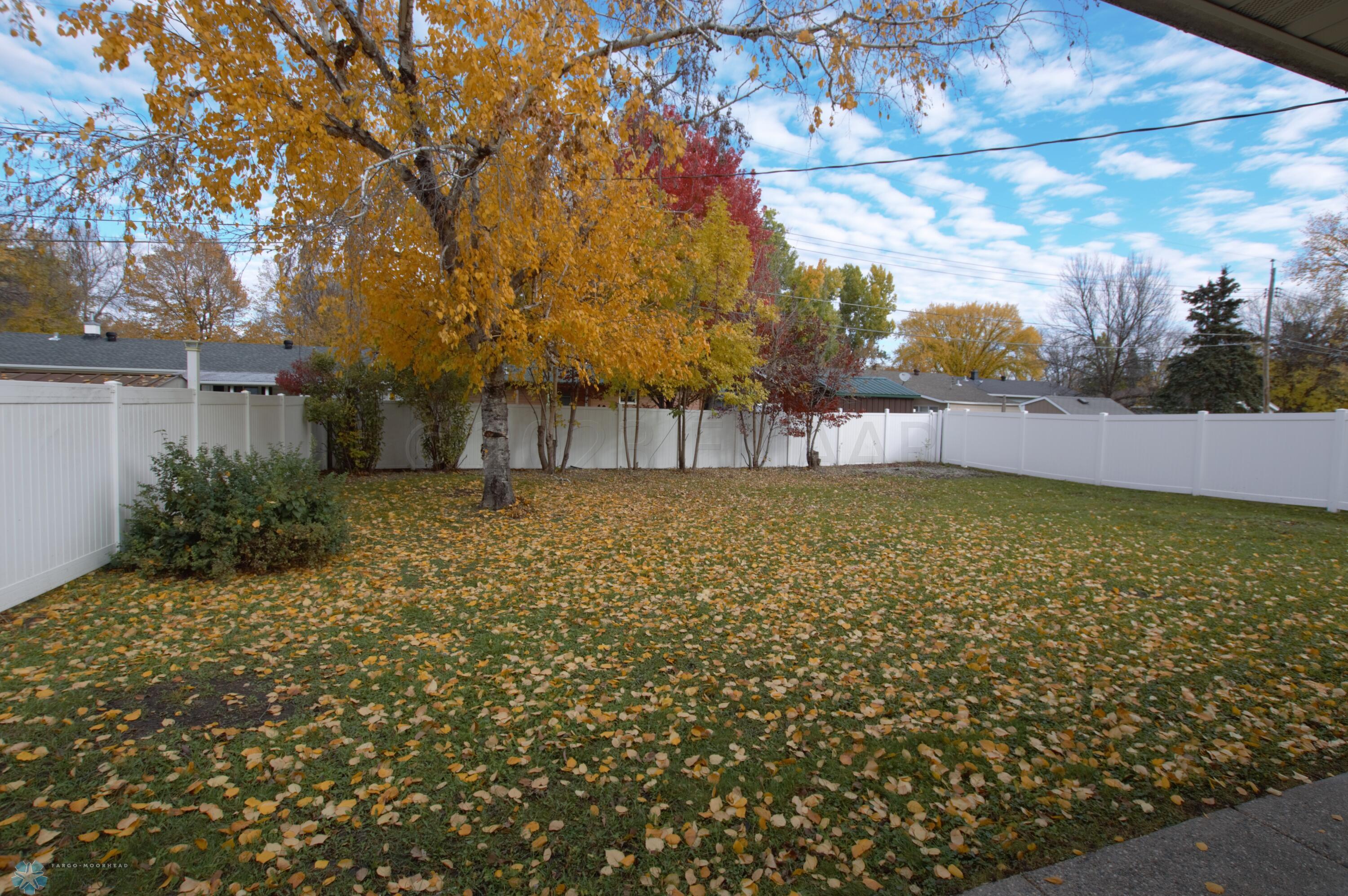 Fenced Backyard