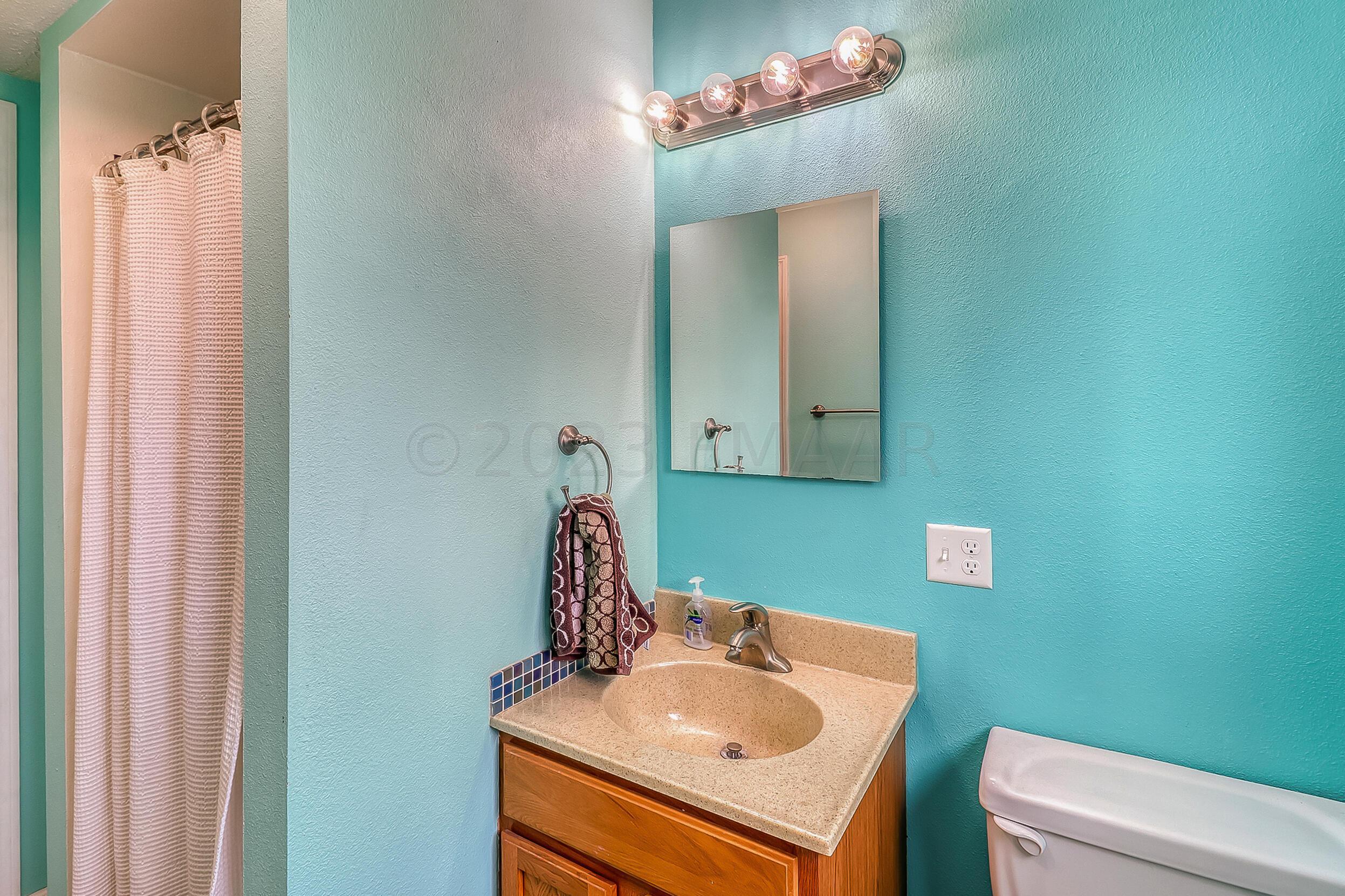 Basement Bathroom1_1
