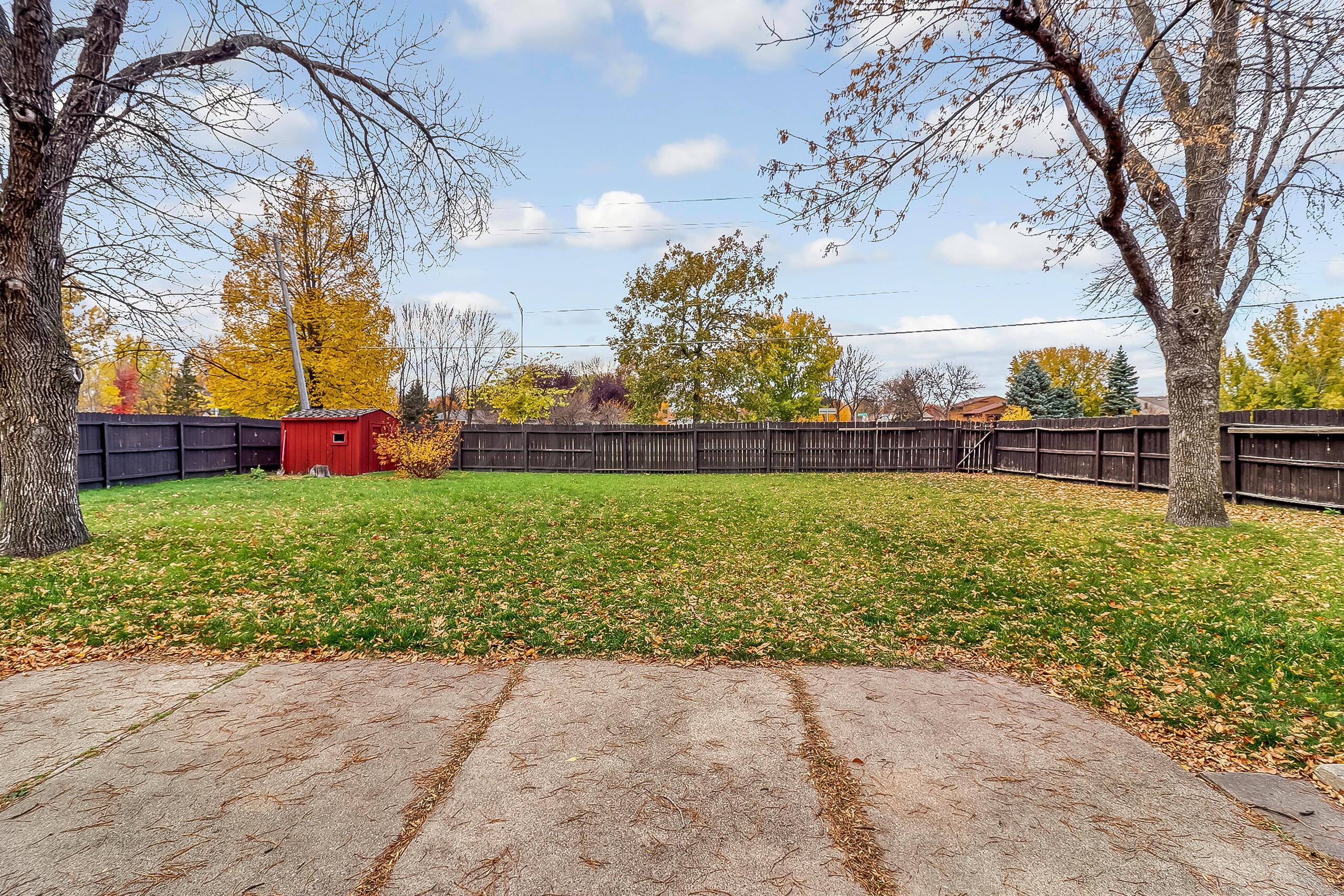 Backyard1_4