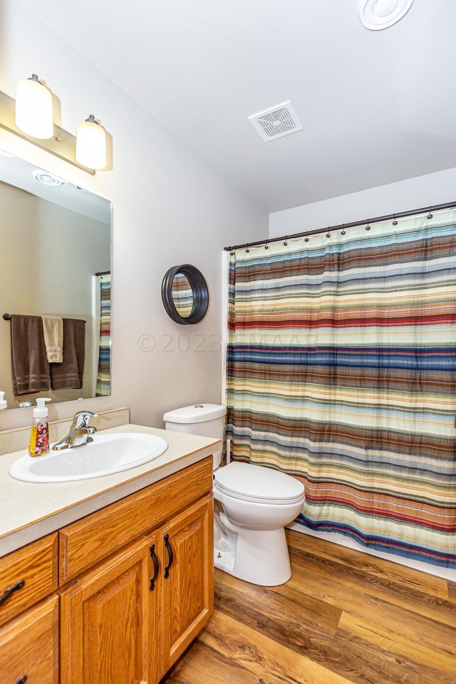 Lower Level Bathroom