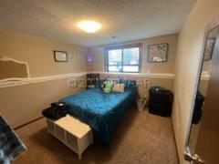 Lower Bedroom