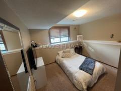 Lower Bedroom 2