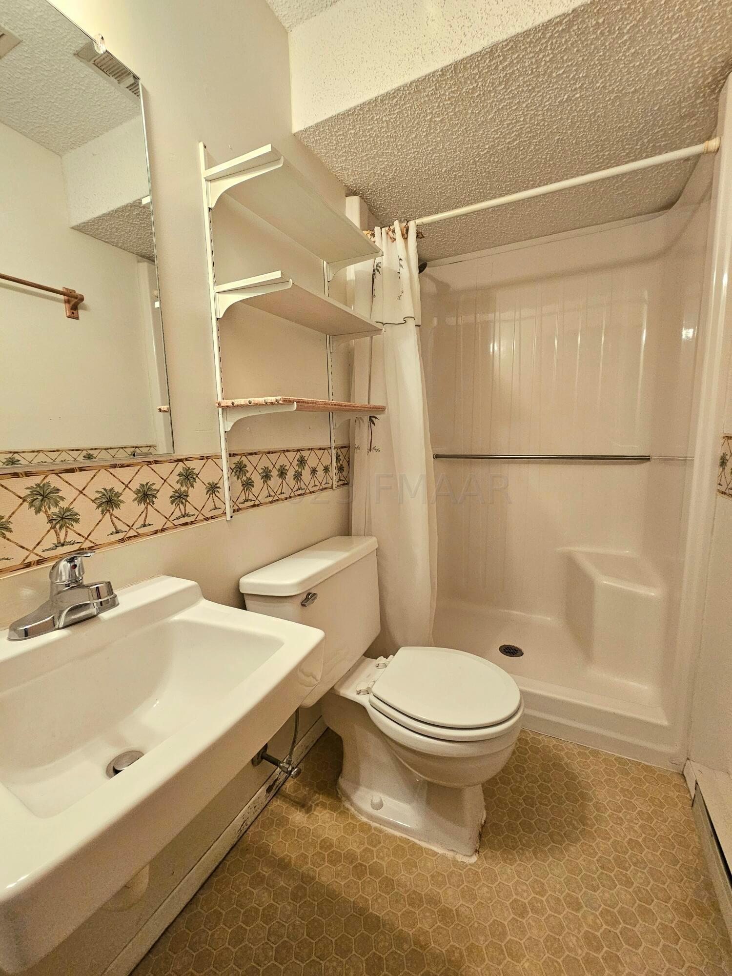 lower level bathroom