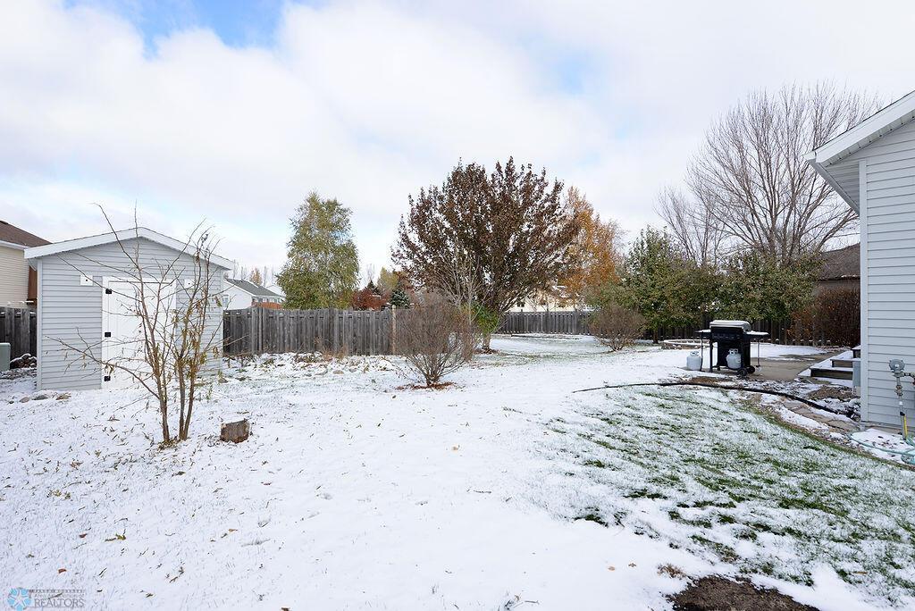 Check Out This Yard!