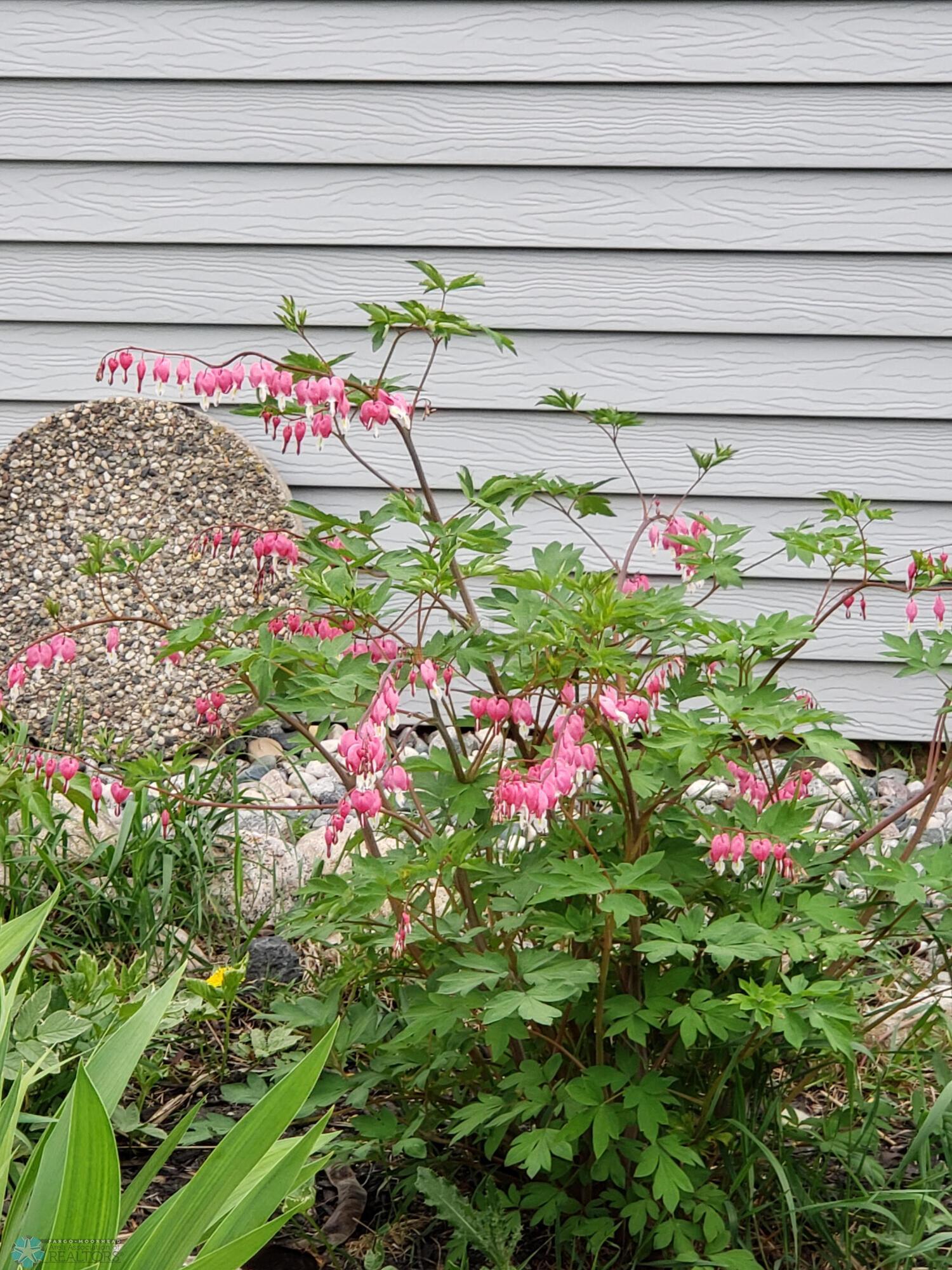 Perennial Garden