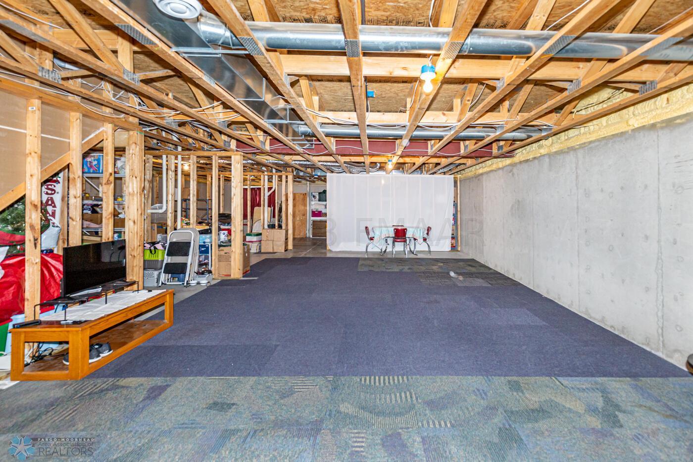 Unfinished Basement