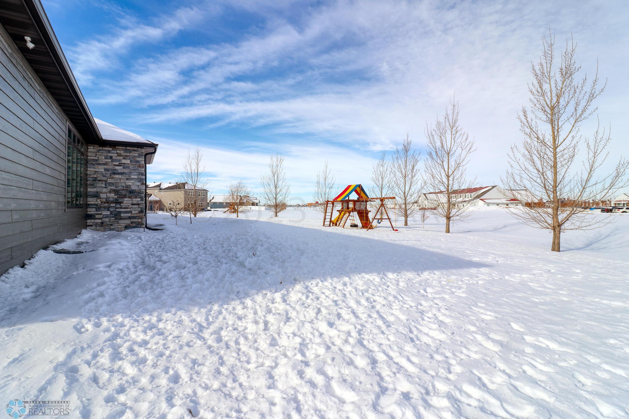 Backyard1_1
