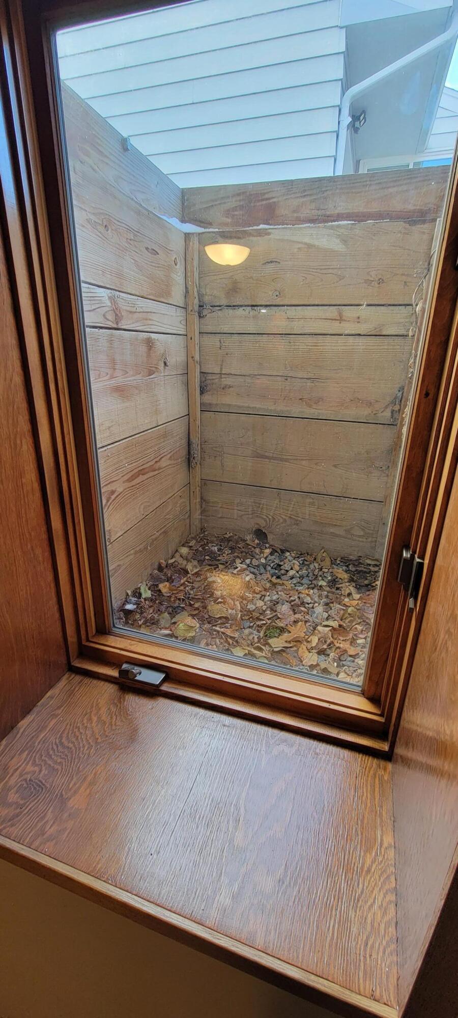 Bedroom Egress
