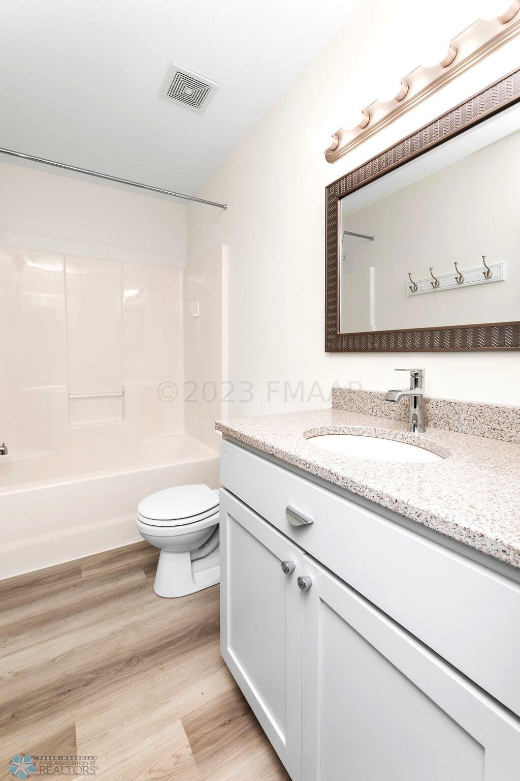 Lower level bathroom