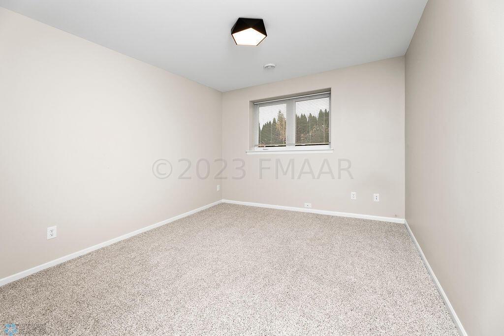 Lower level 2nd bedroom