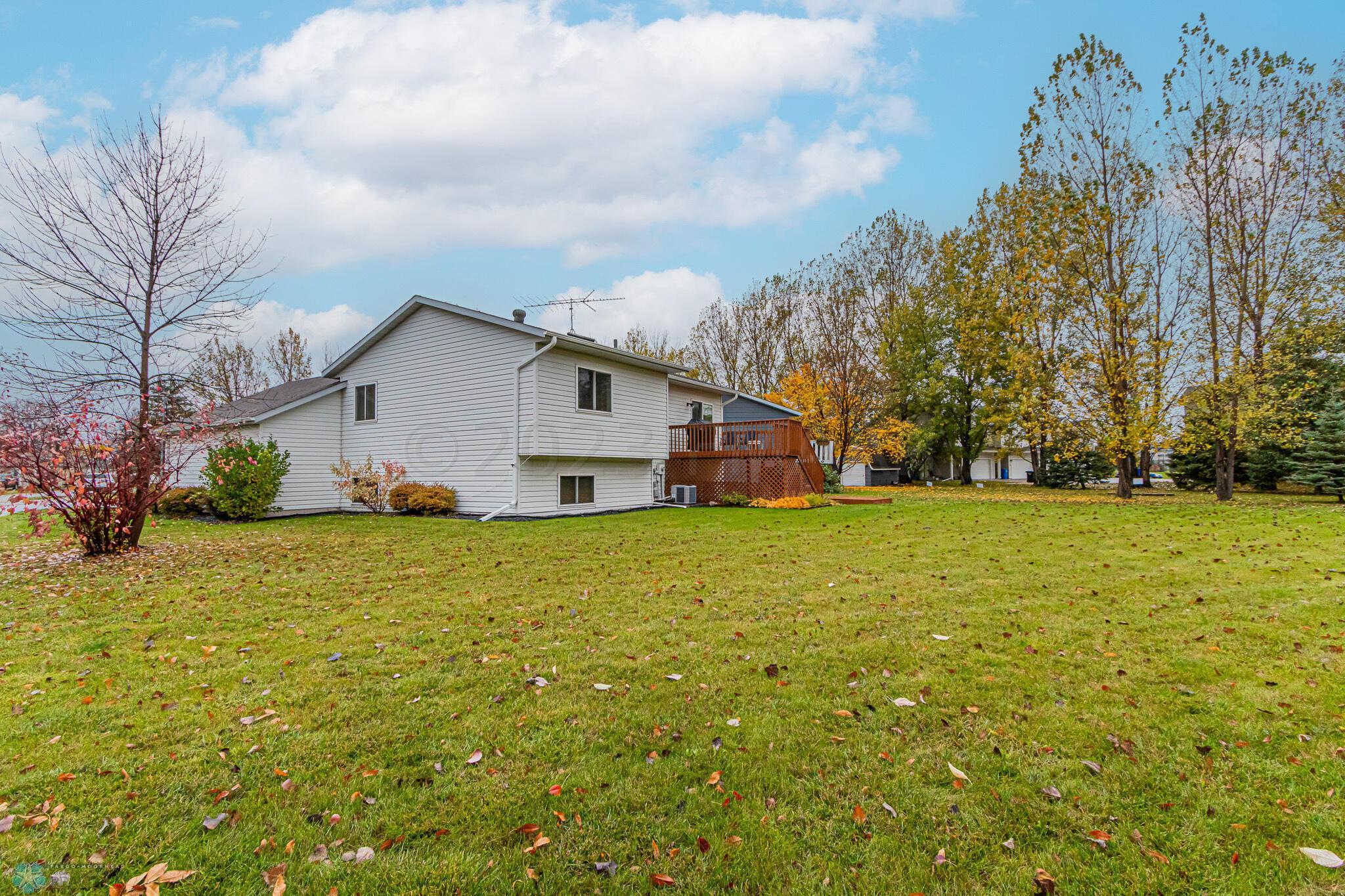 Backyard_1