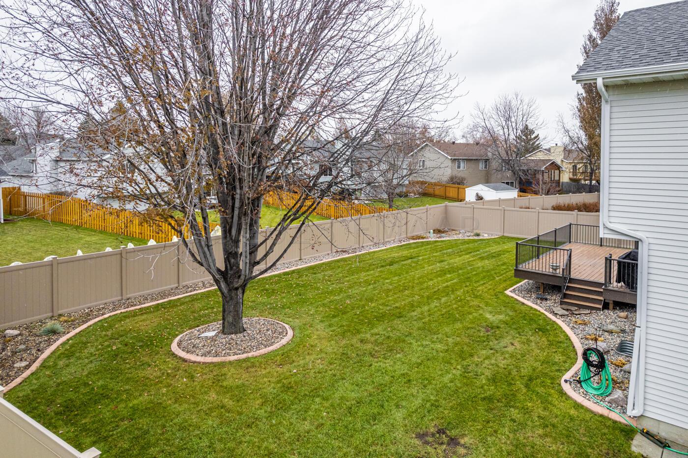 Fenced Backyard