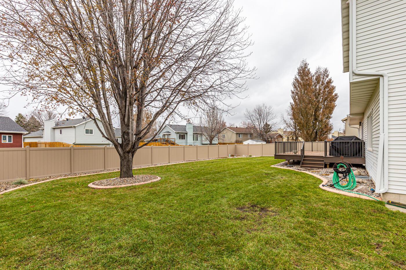 Fenced Backyard