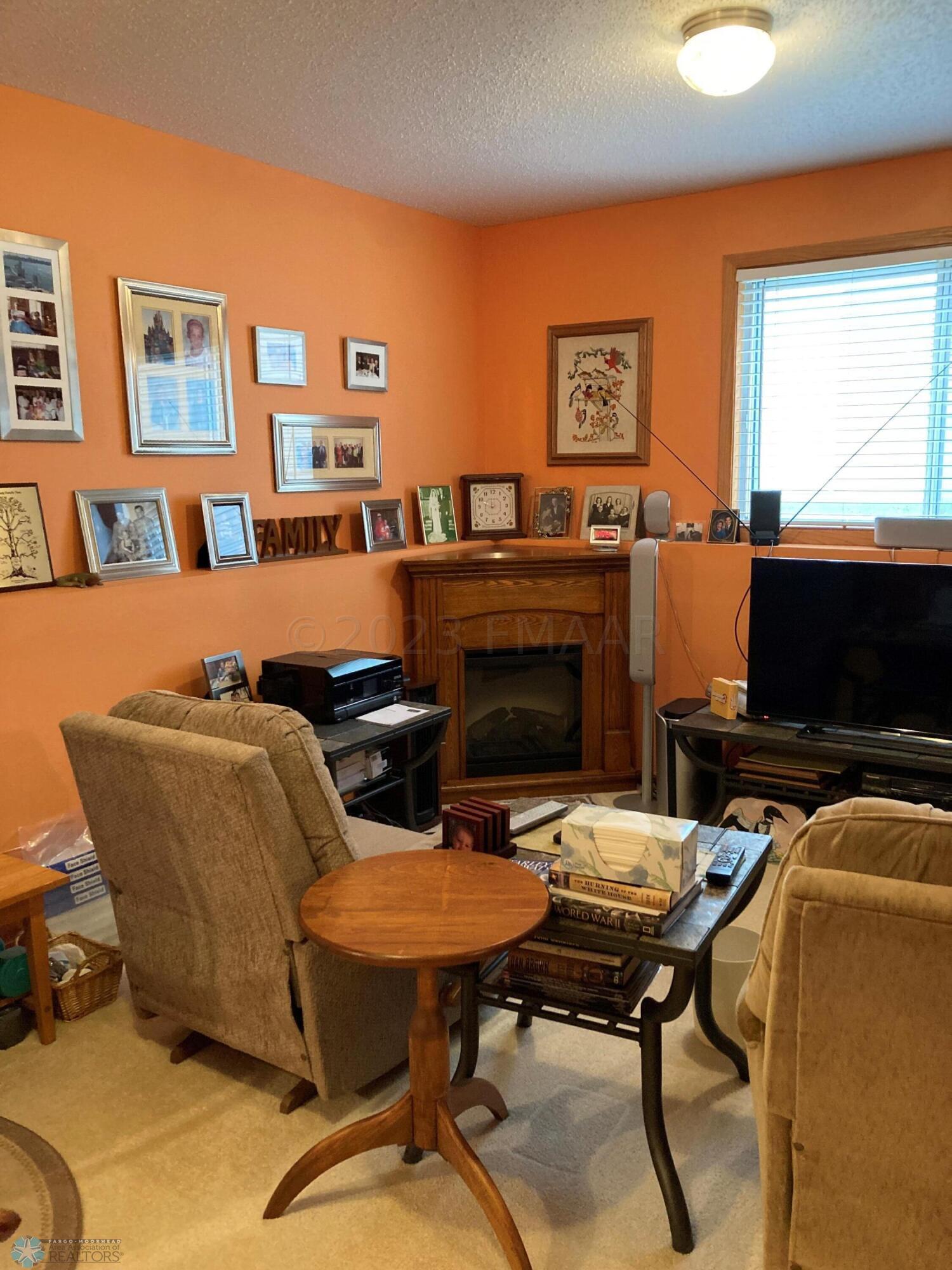 Lower Level Family Room