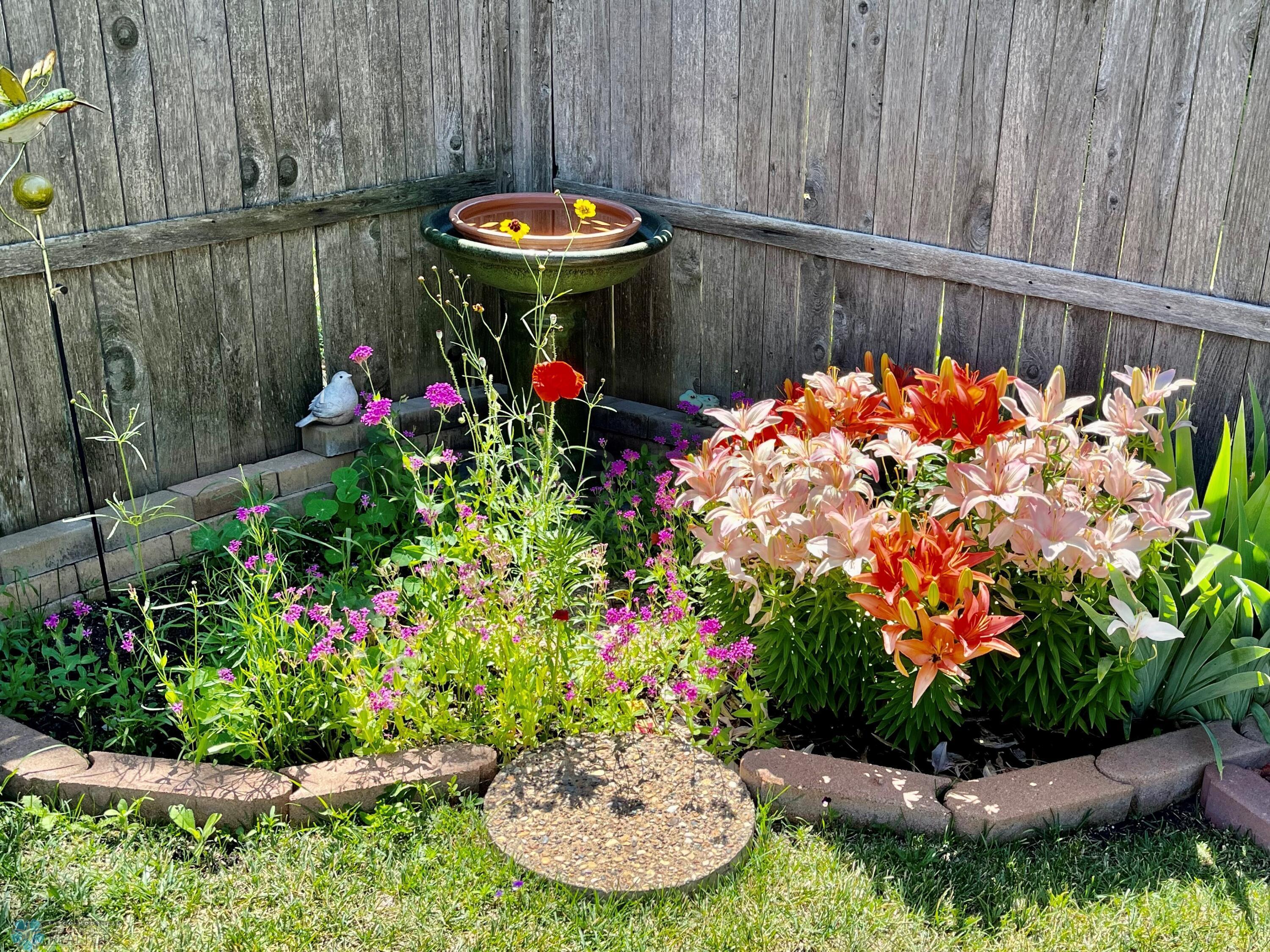Back Yard in Spring 2