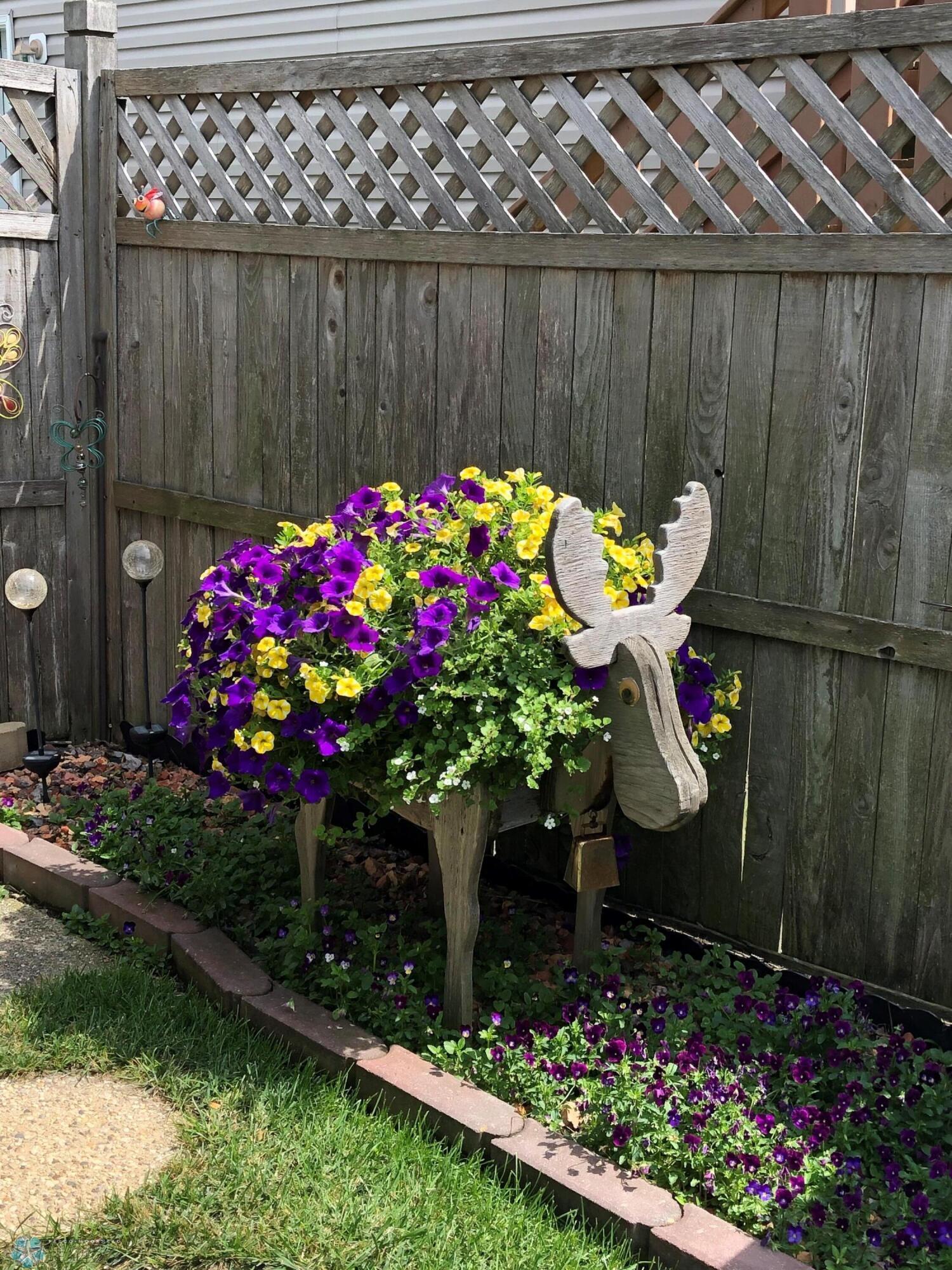 Back Yard in Spring 3