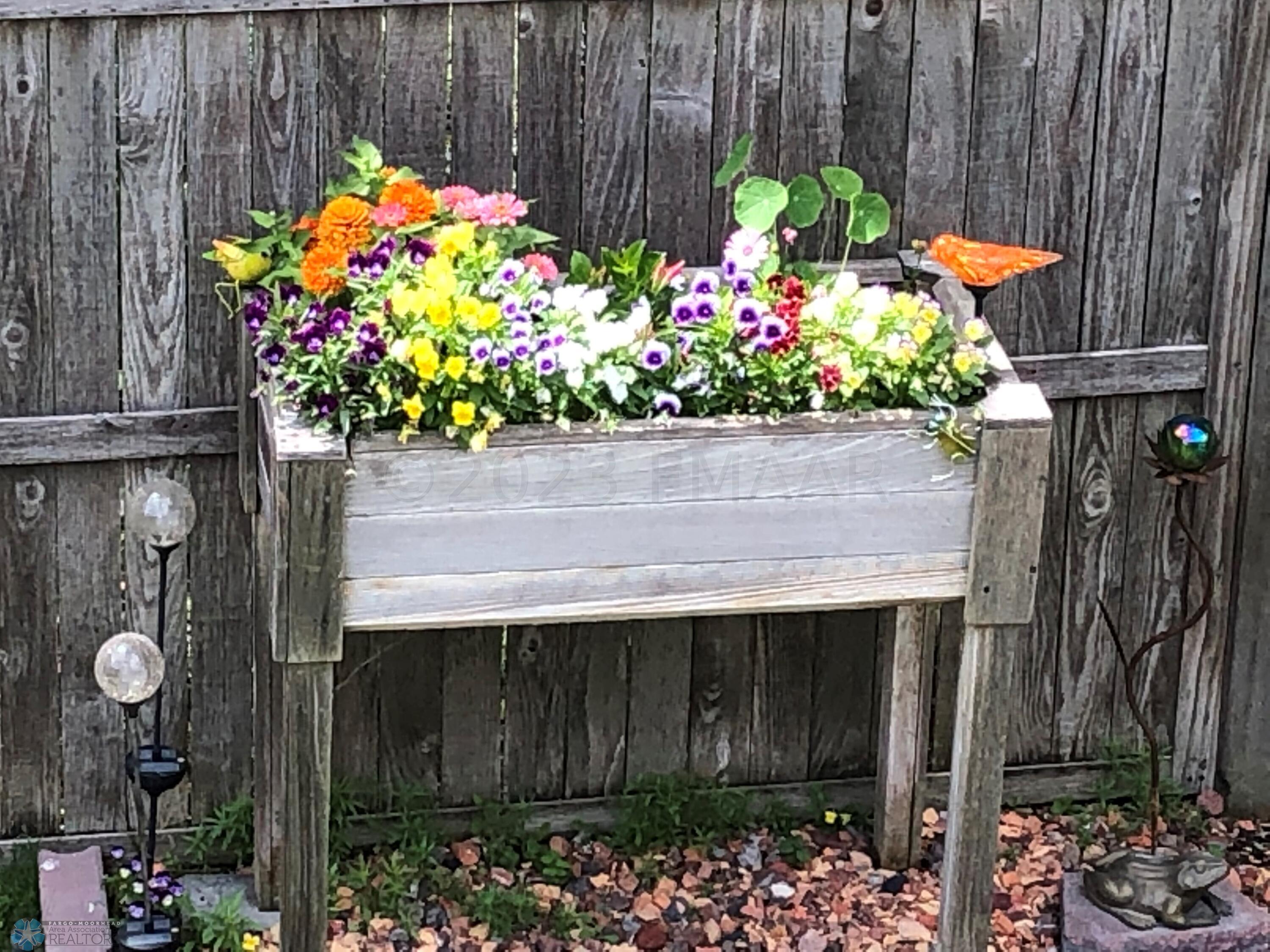 Back Yard in Spring 4
