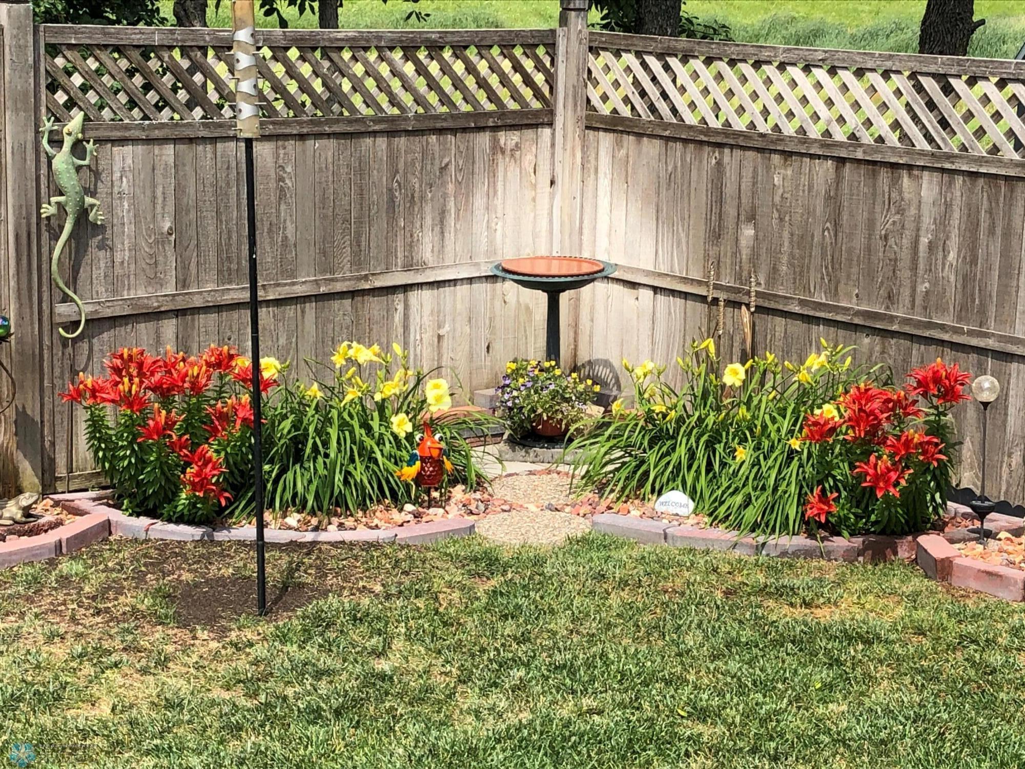 Back Yard in Spring 5