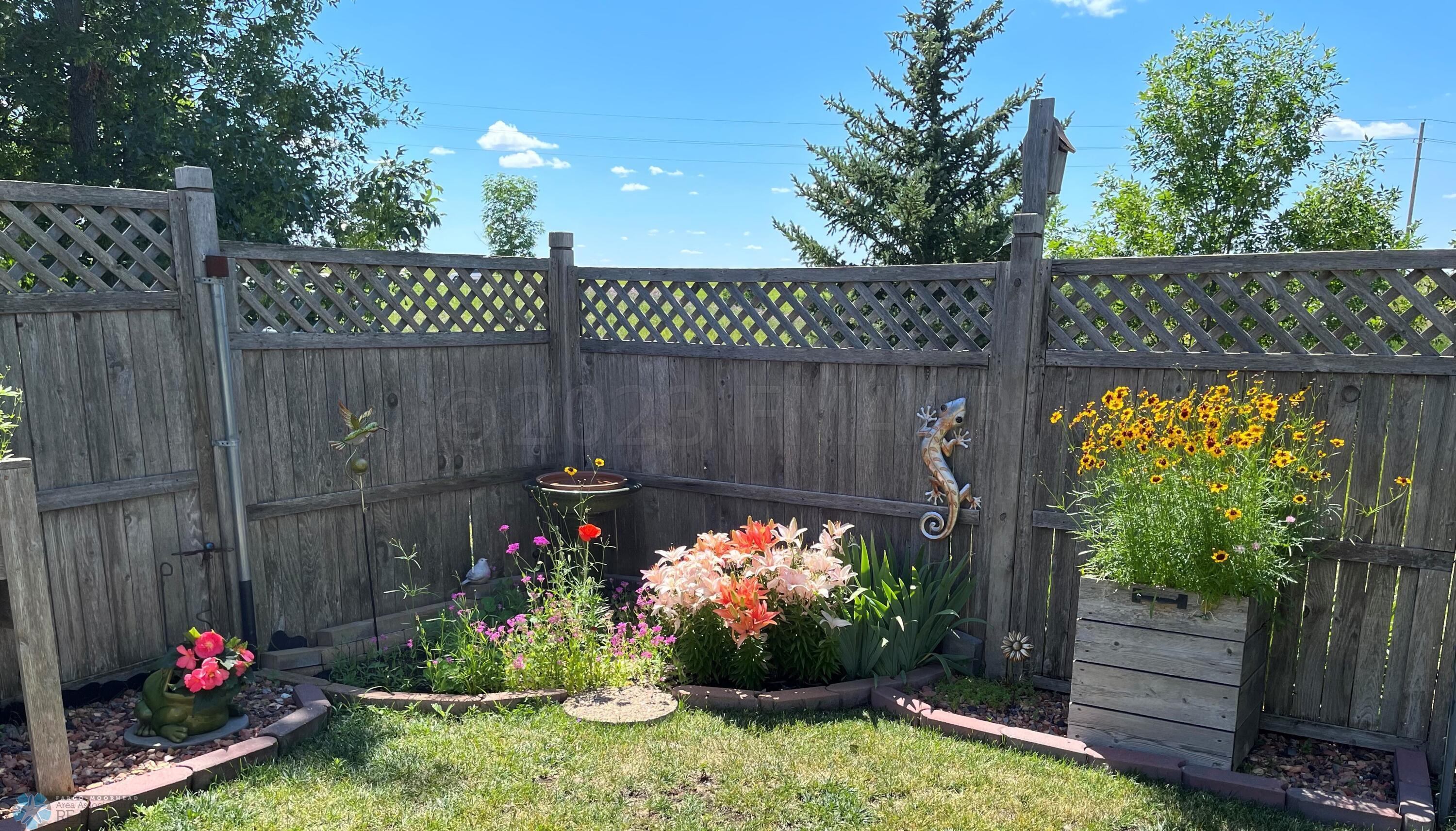 Back Yard in Spring