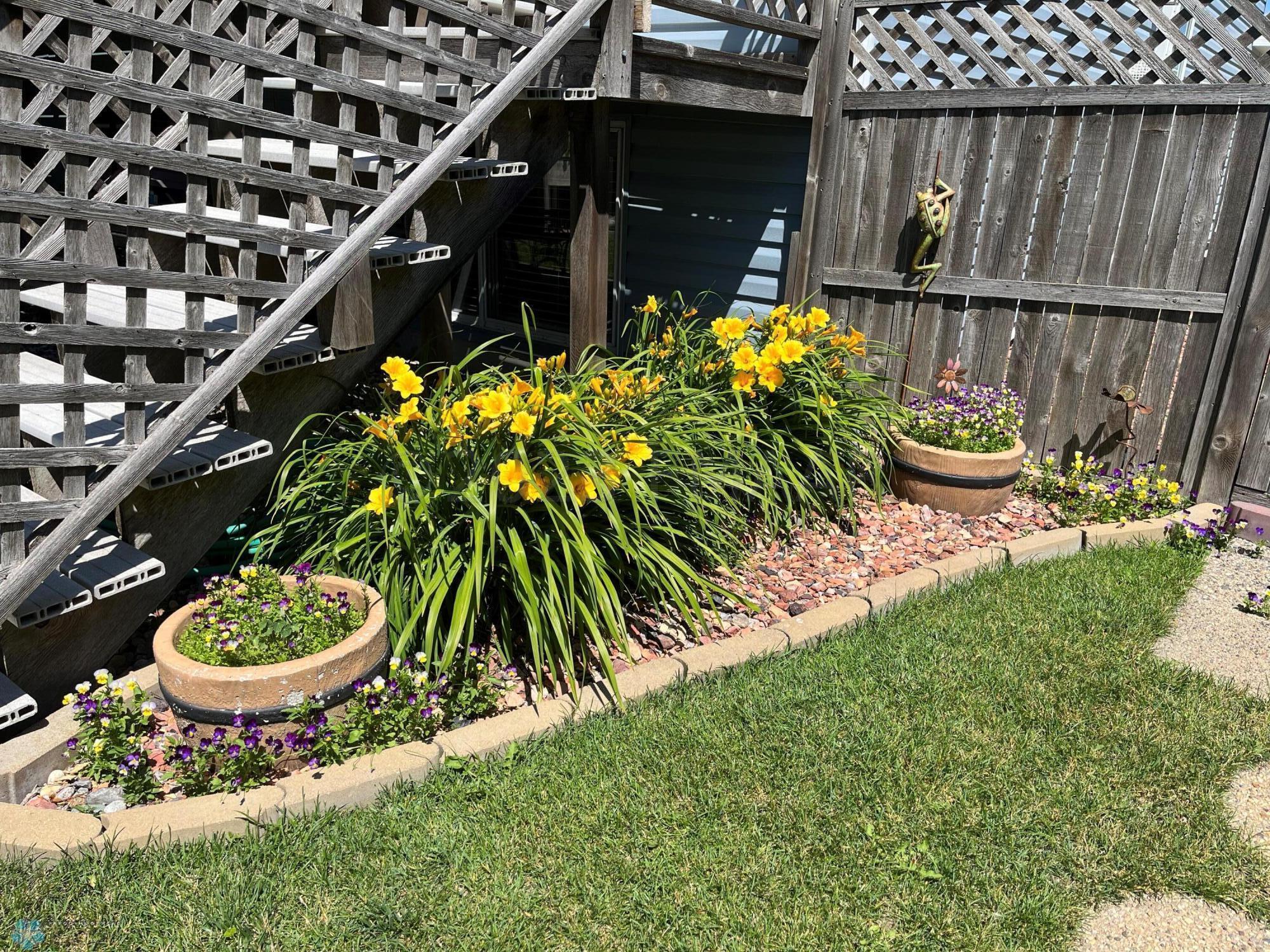 Back Yard In Spring