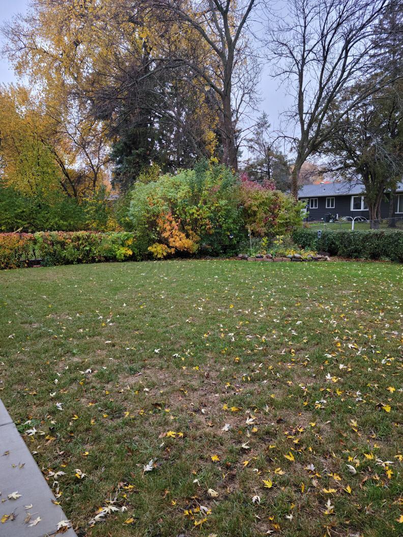yard