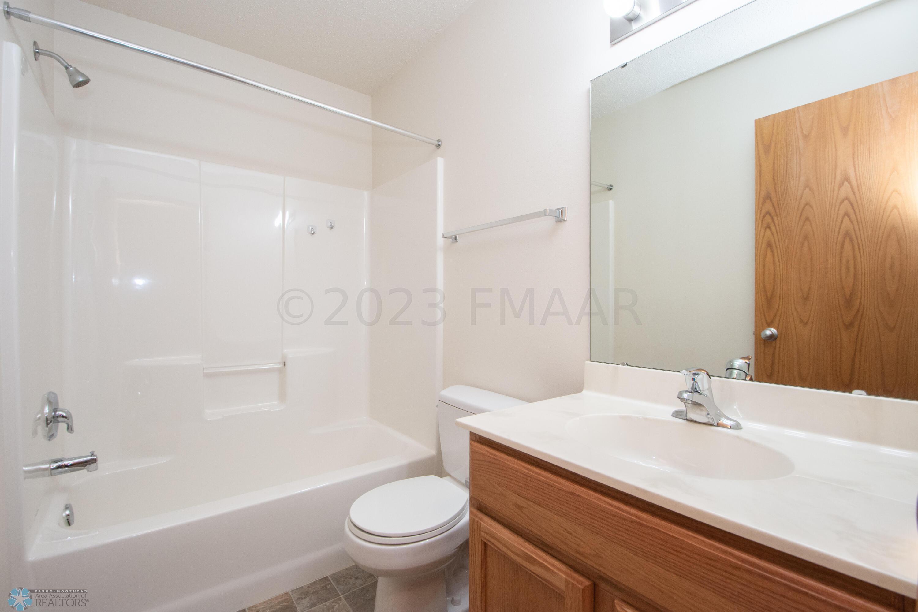 Lower Level Bathroom