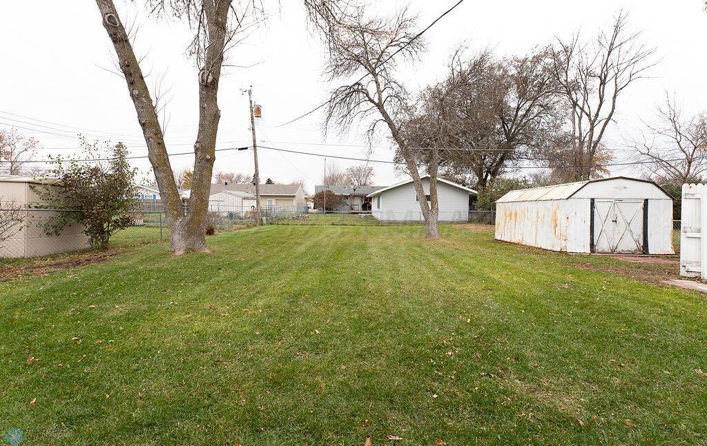 Back yard