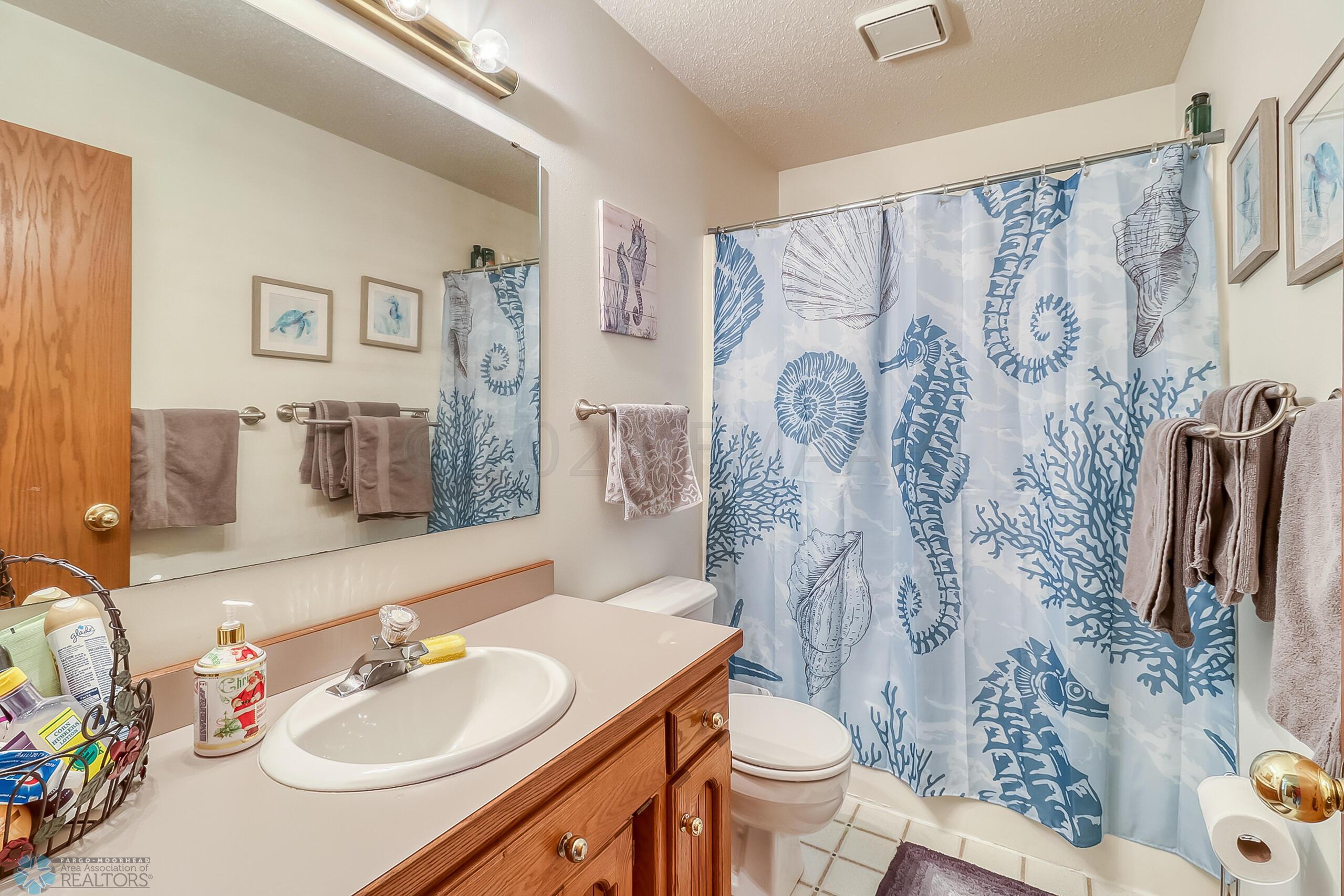 Basement Bathroom1_1