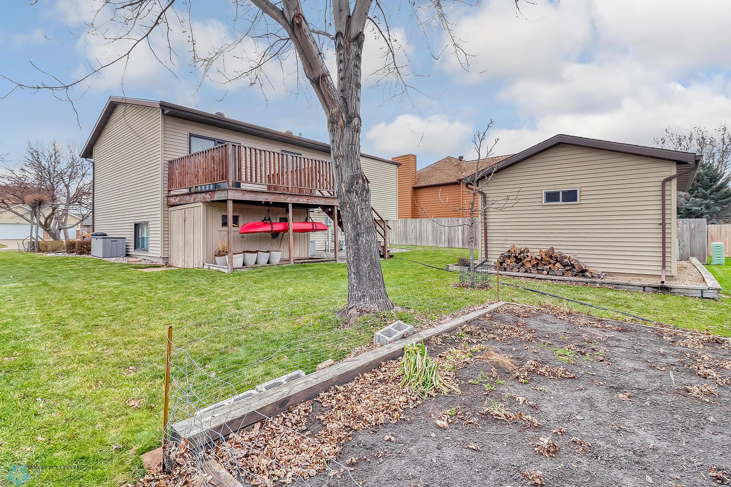 Backyard1_3