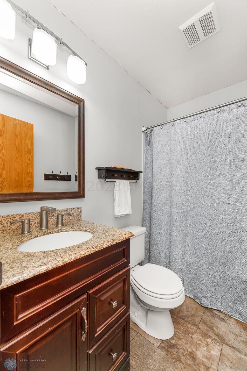 Lower level bathroom