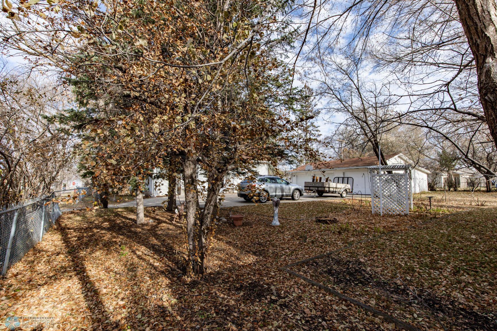 Front Yard