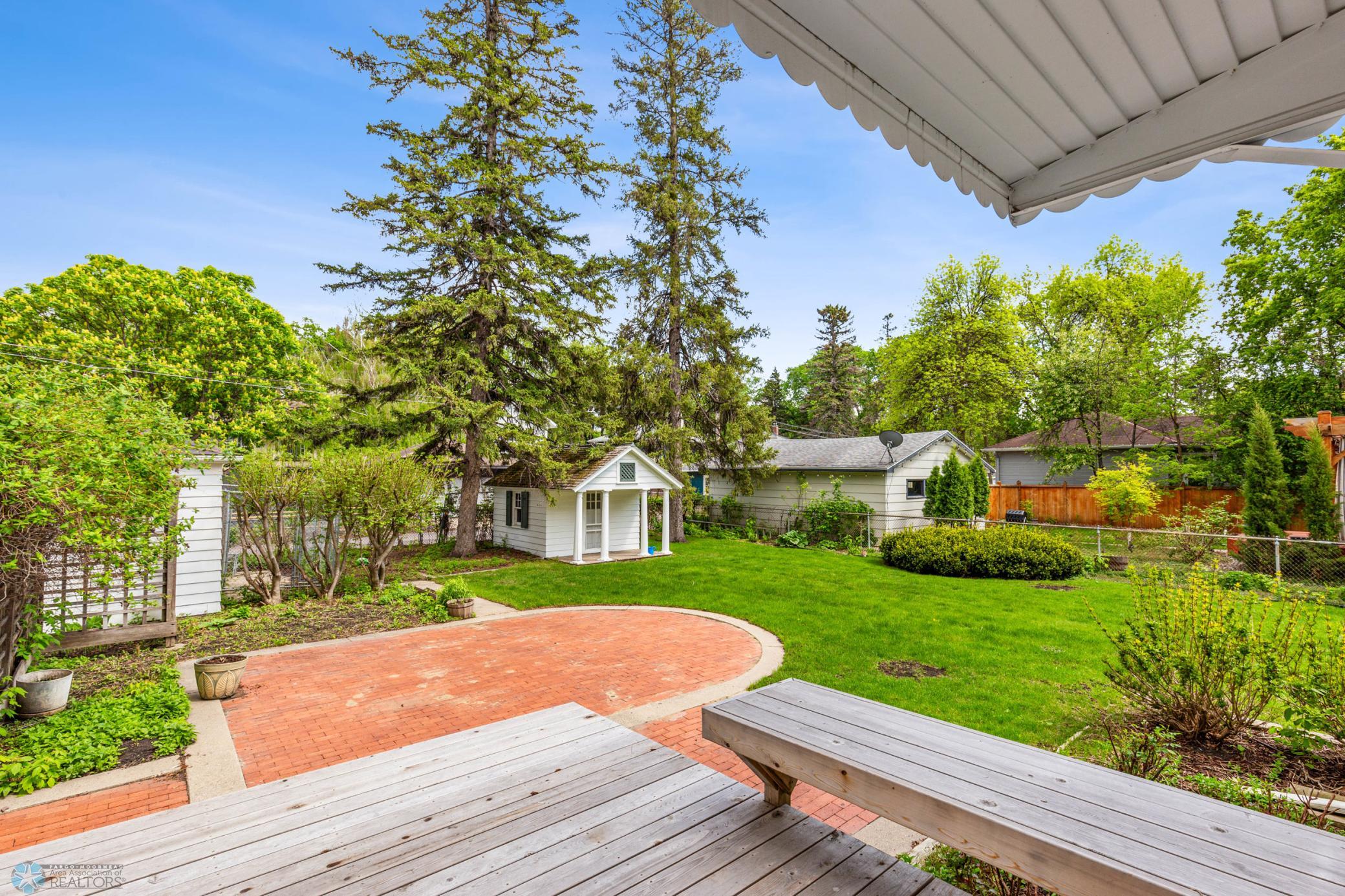 Back yard