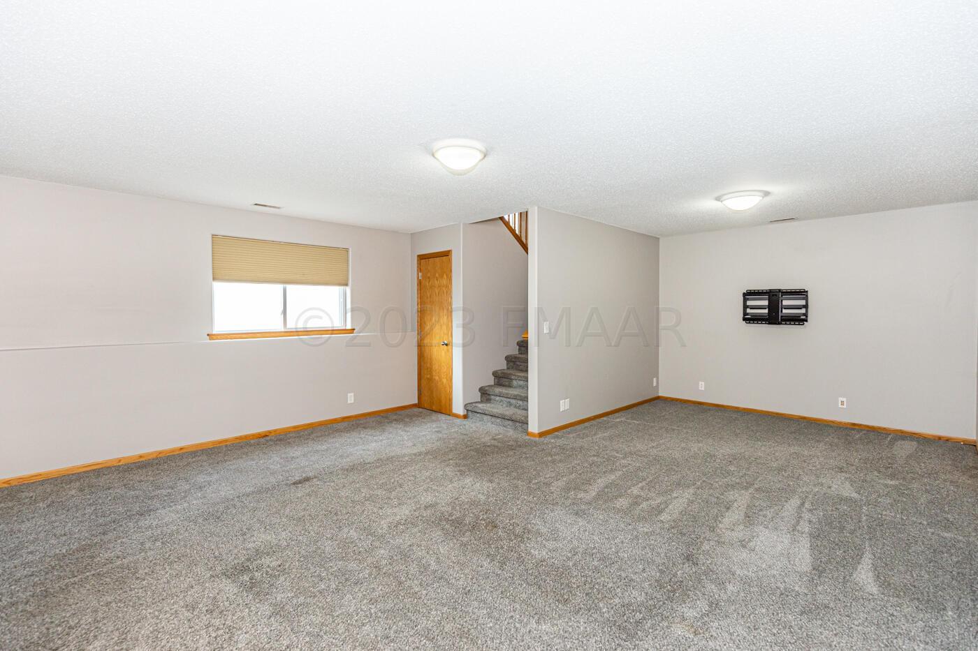 Lower Family Room