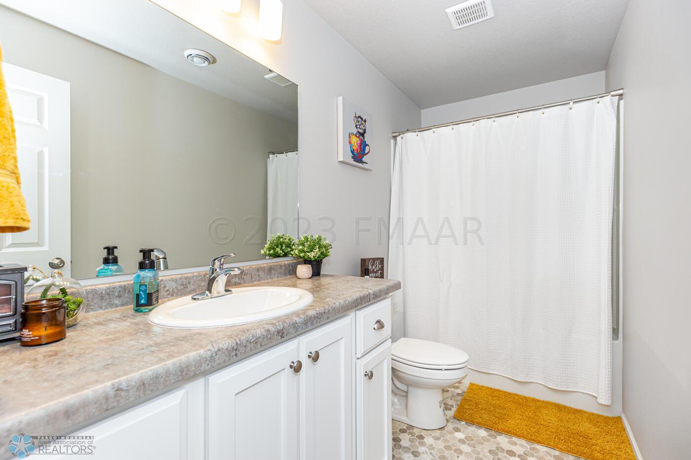 Basement Bathroom